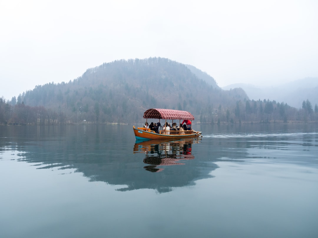 brown boat on calm water near green trees during daytime