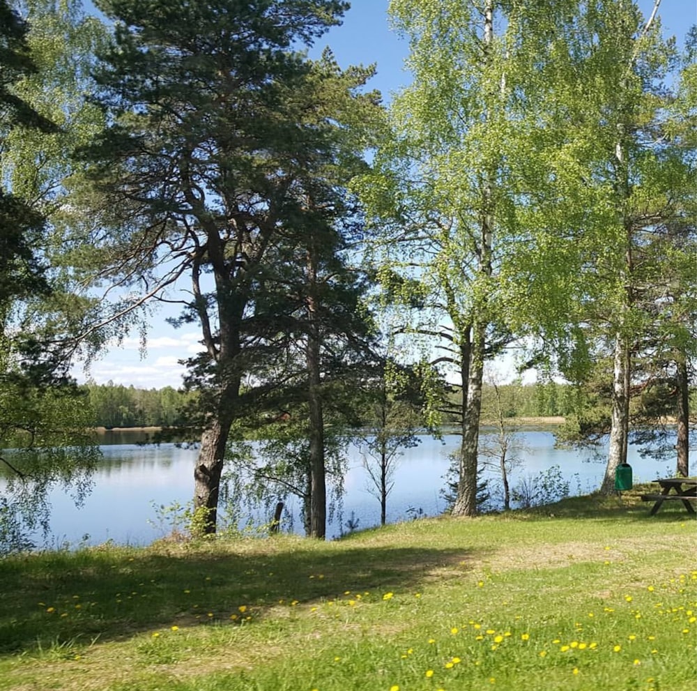 green grass field near lake during daytime