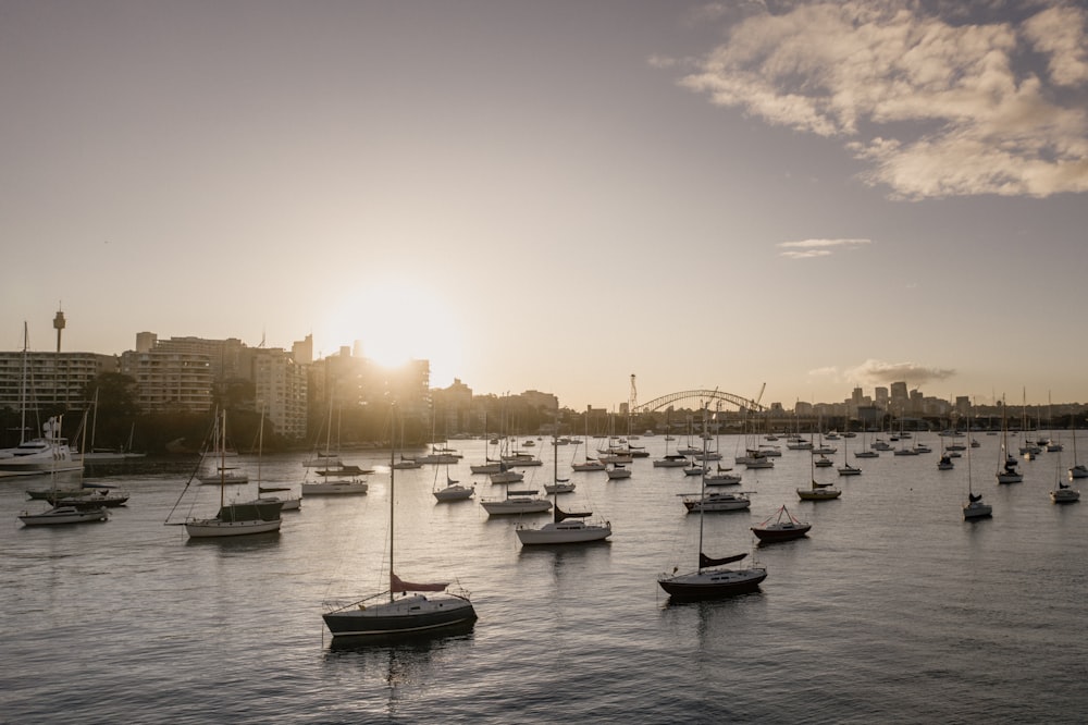 white and black boat on body of water during sunset