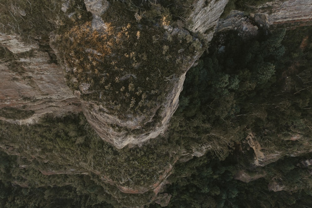 brown and gray rock formation