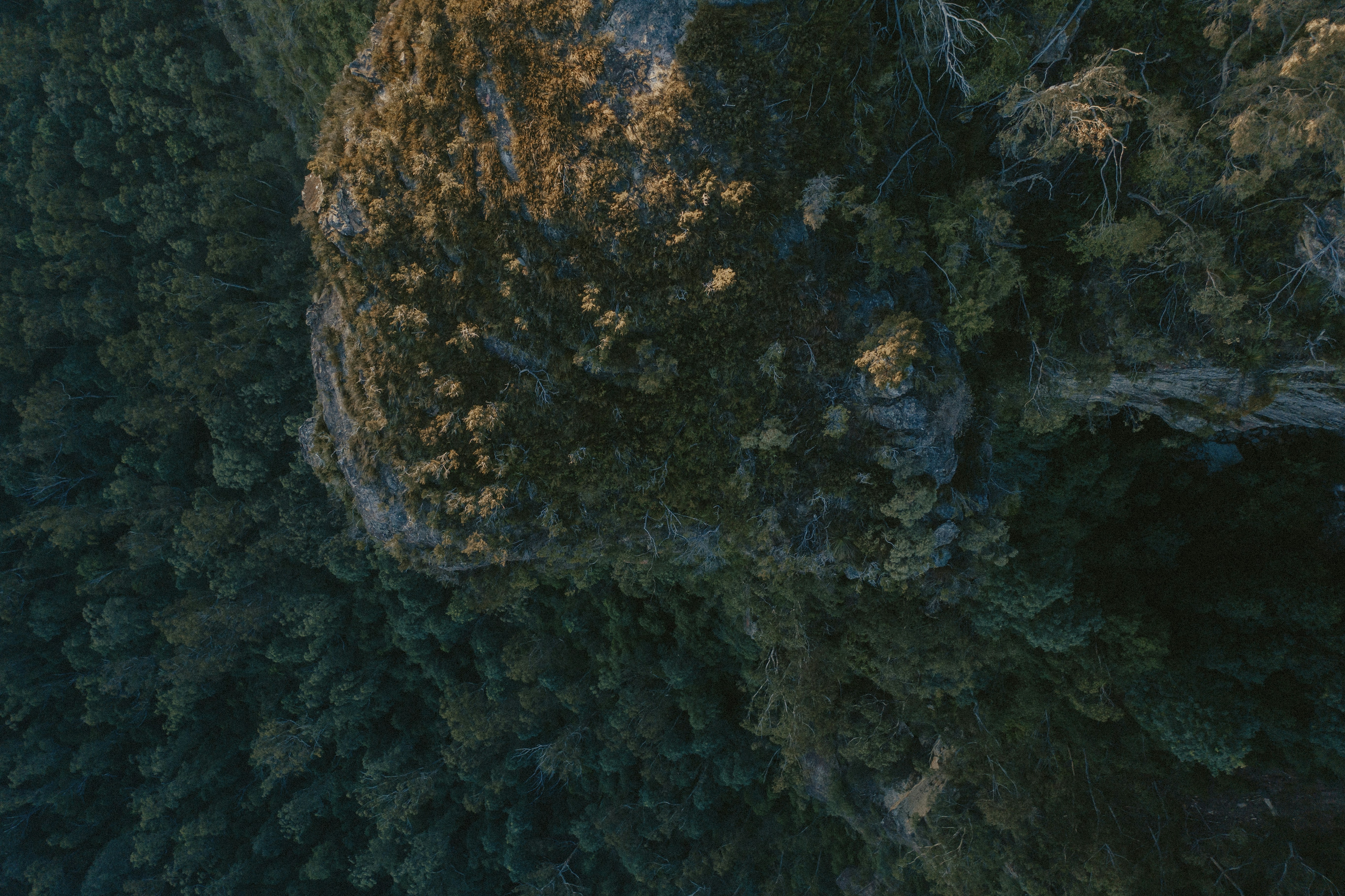 Photo by joshwithers