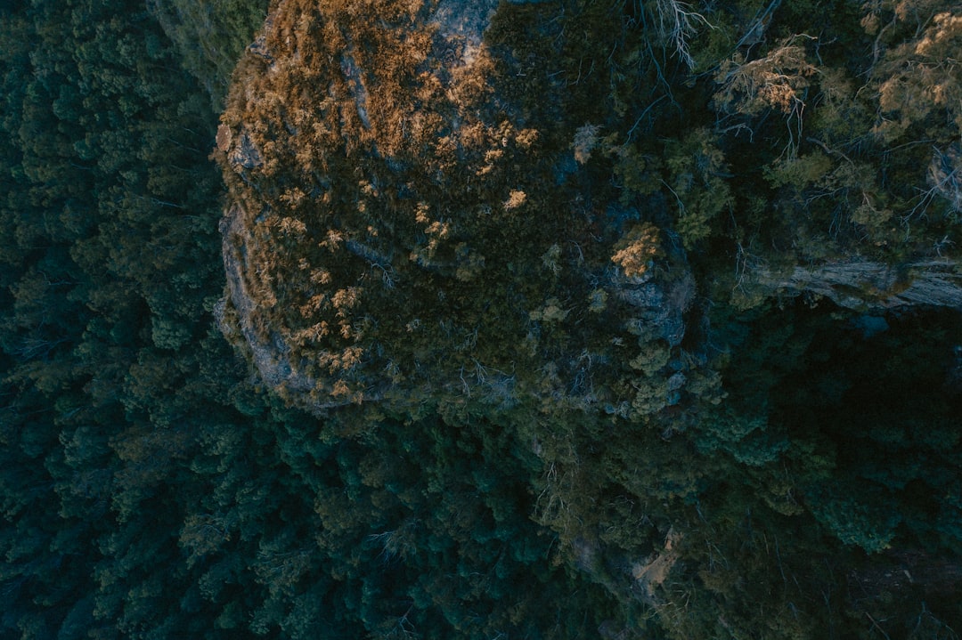 travelers stories about Underwater in Blue Mountains, Australia