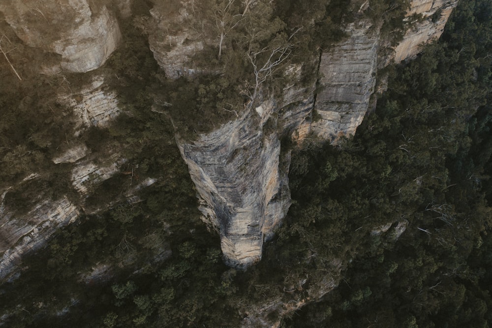 Montagna rocciosa marrone con alberi verdi