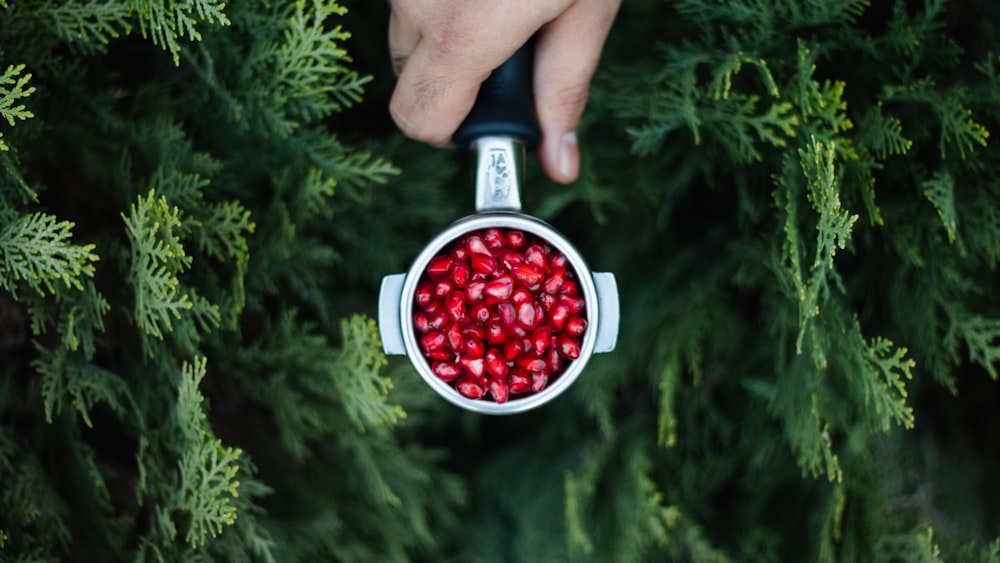 person holding red and white ceramic mug with red liquid