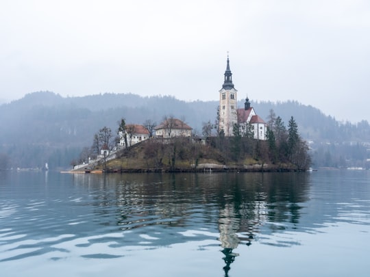 brown and white concrete building near body of water during daytime in Bled island Slovenia