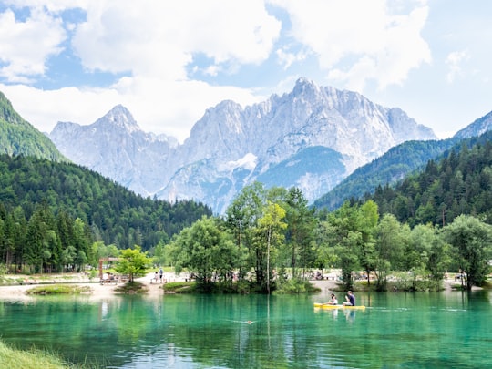 green trees near lake and mountains during daytime in Triglav National Park Slovenia