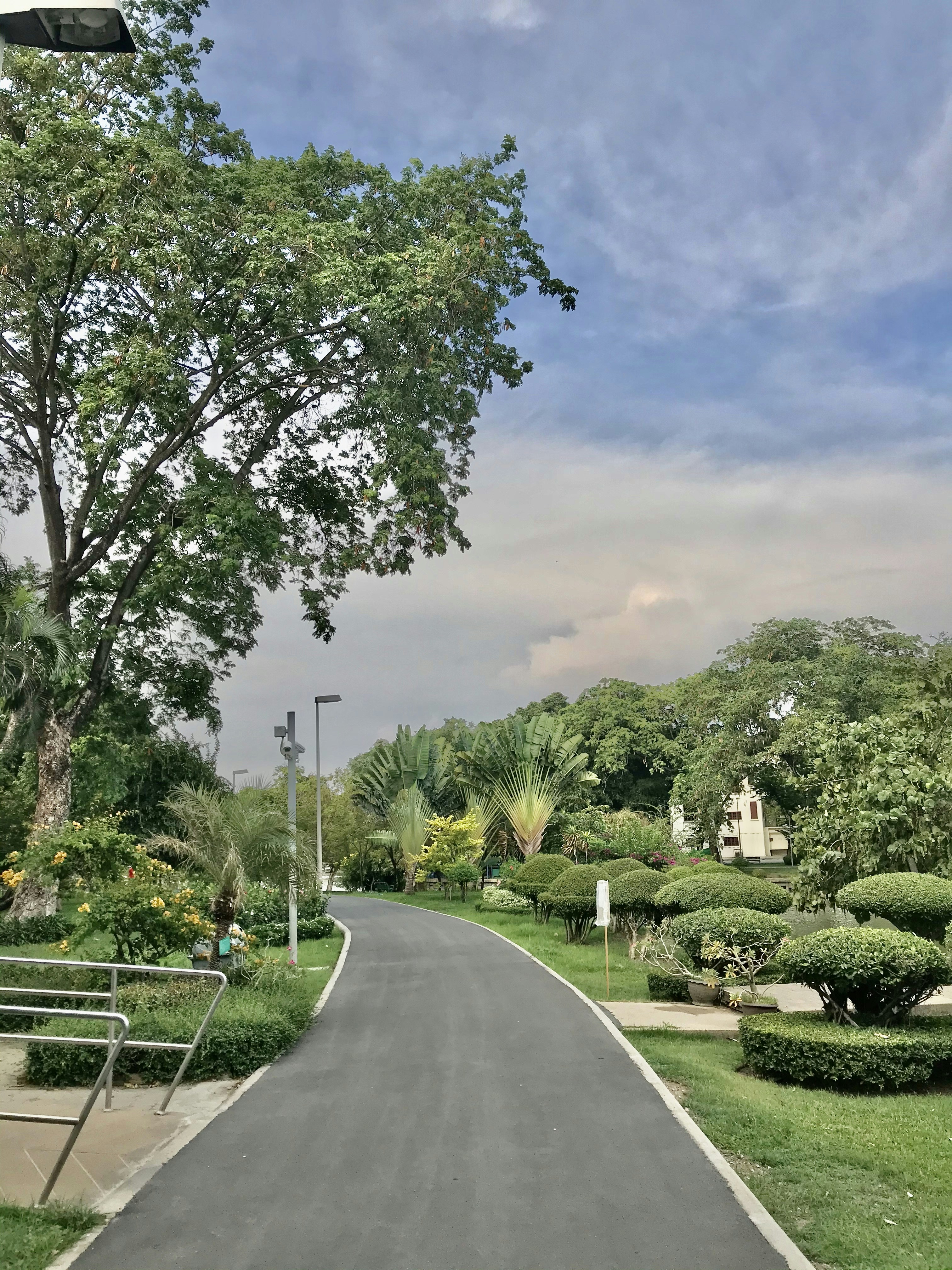 Royal Garden Kingston Ma Menu