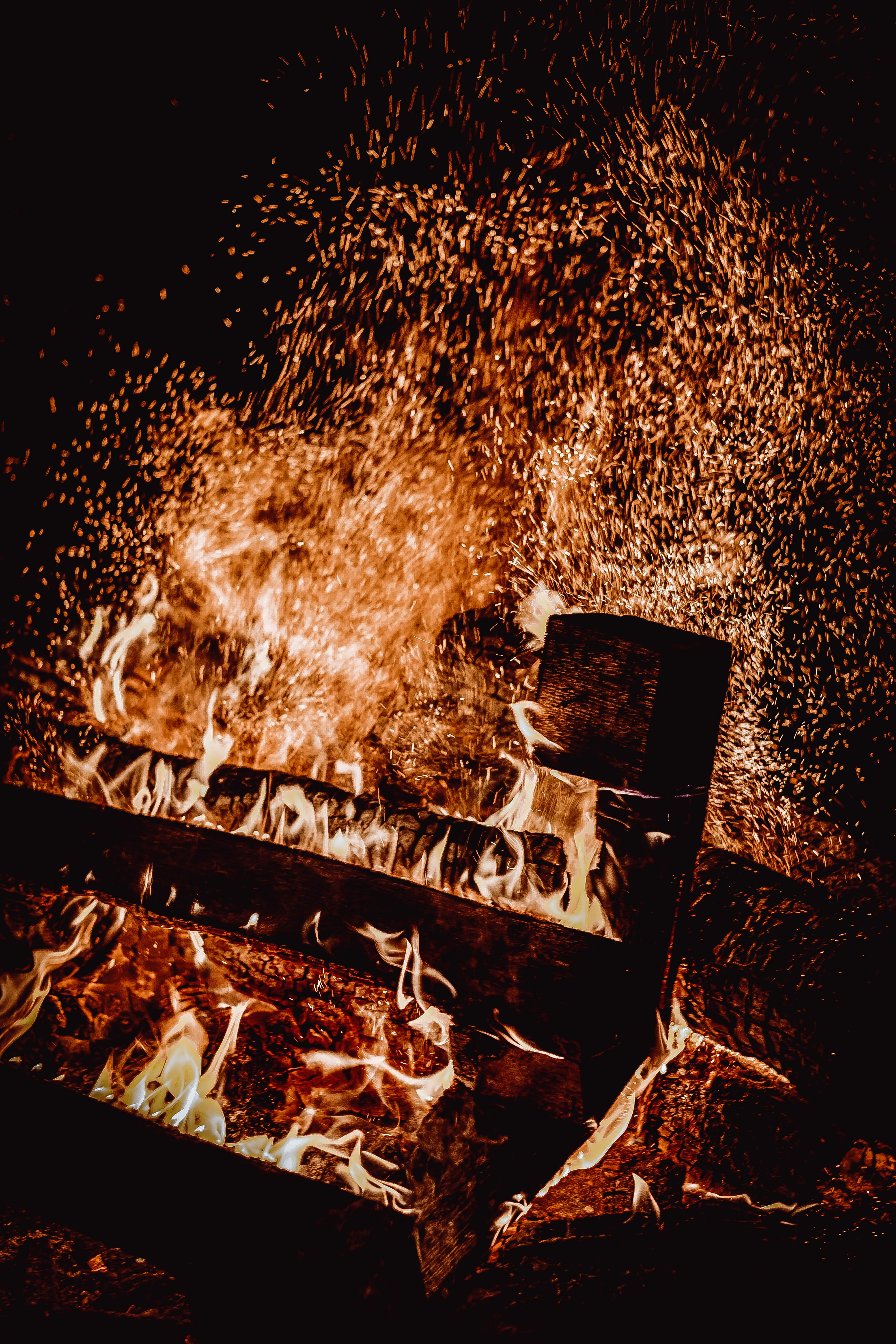 Photo by victoriapriessnitz