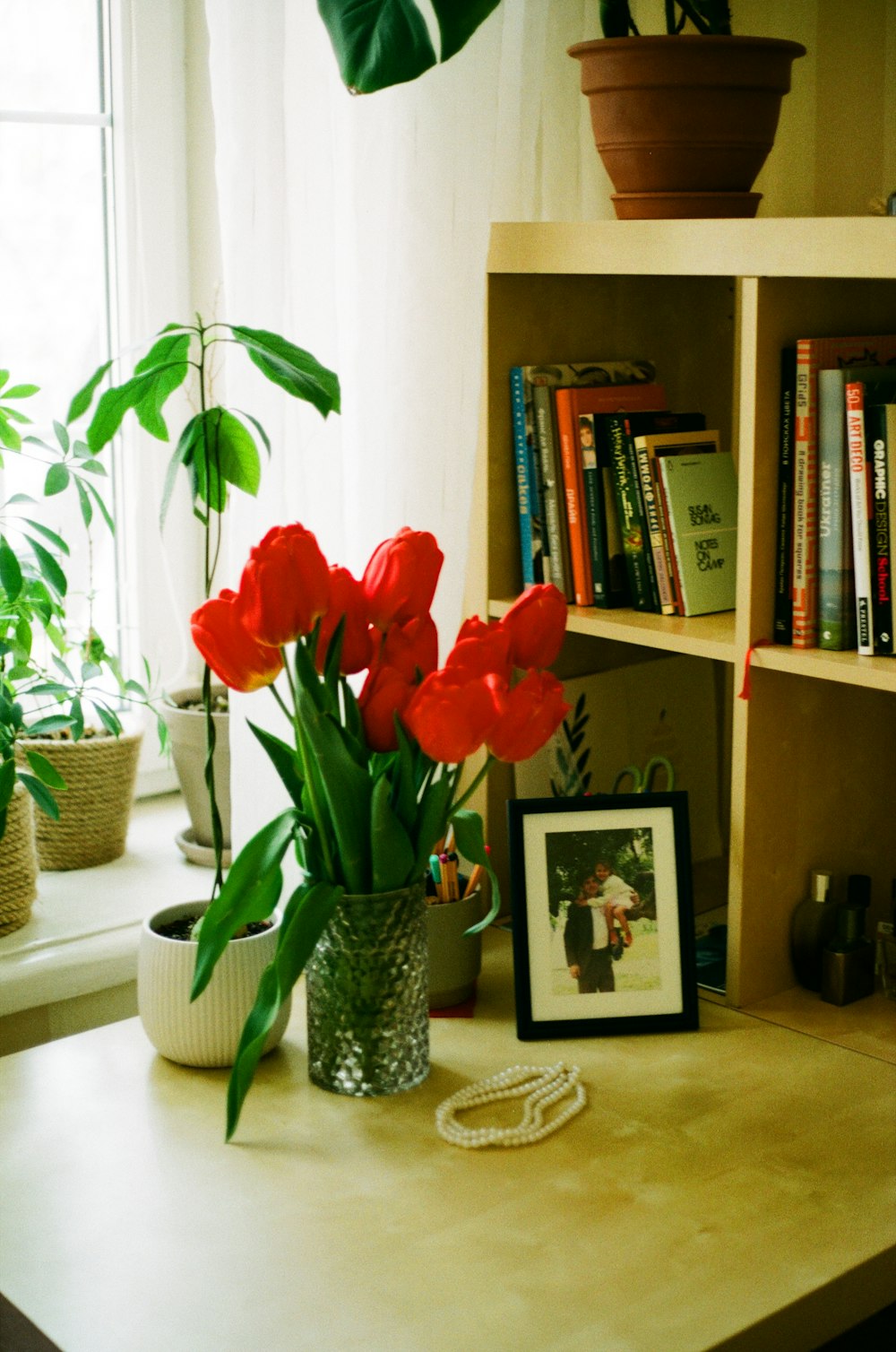 red tulips in vase beside picture frame