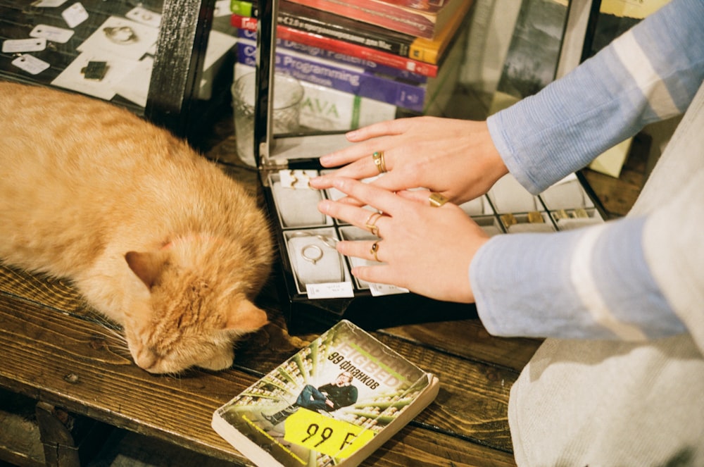 person holding a book and orange tabby cat on a table