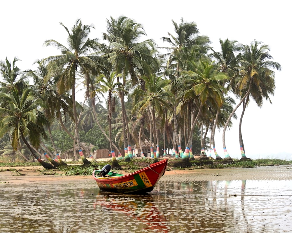 rotes Boot tagsüber auf Gewässern in der Nähe von grünen Palmen