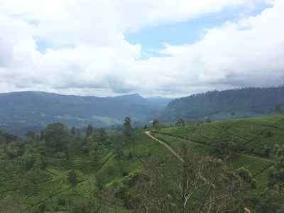 A vast, lush green landscape featuring rolling hills covered with dense vegetation and tea plantations. A narrow dirt path meanders through the hills, vanishing into the distance. In the background, majestic mountains are partially shrouded by fluffy, white clouds, under a bright blue sky.