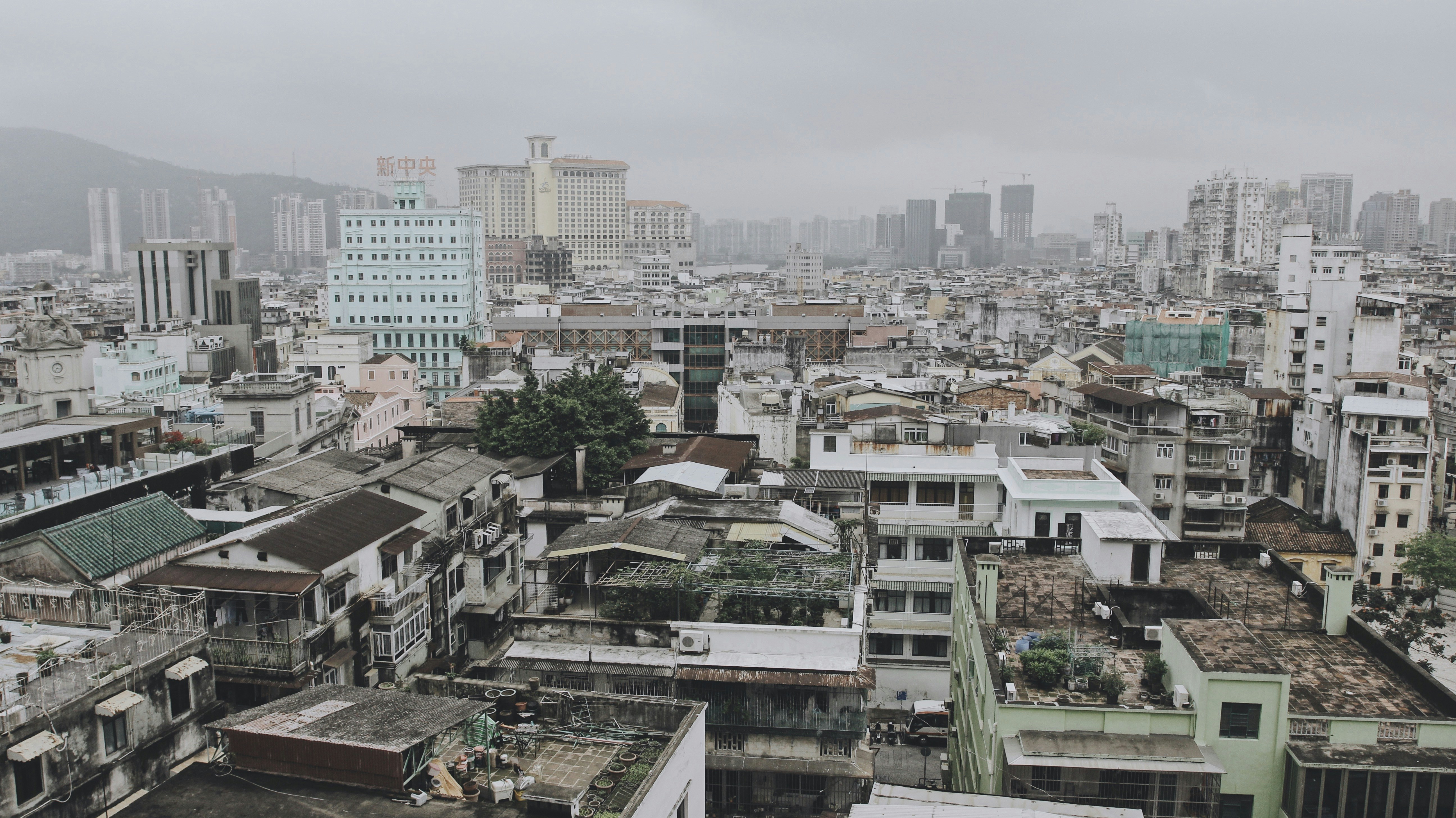 Photo by frednoblesala