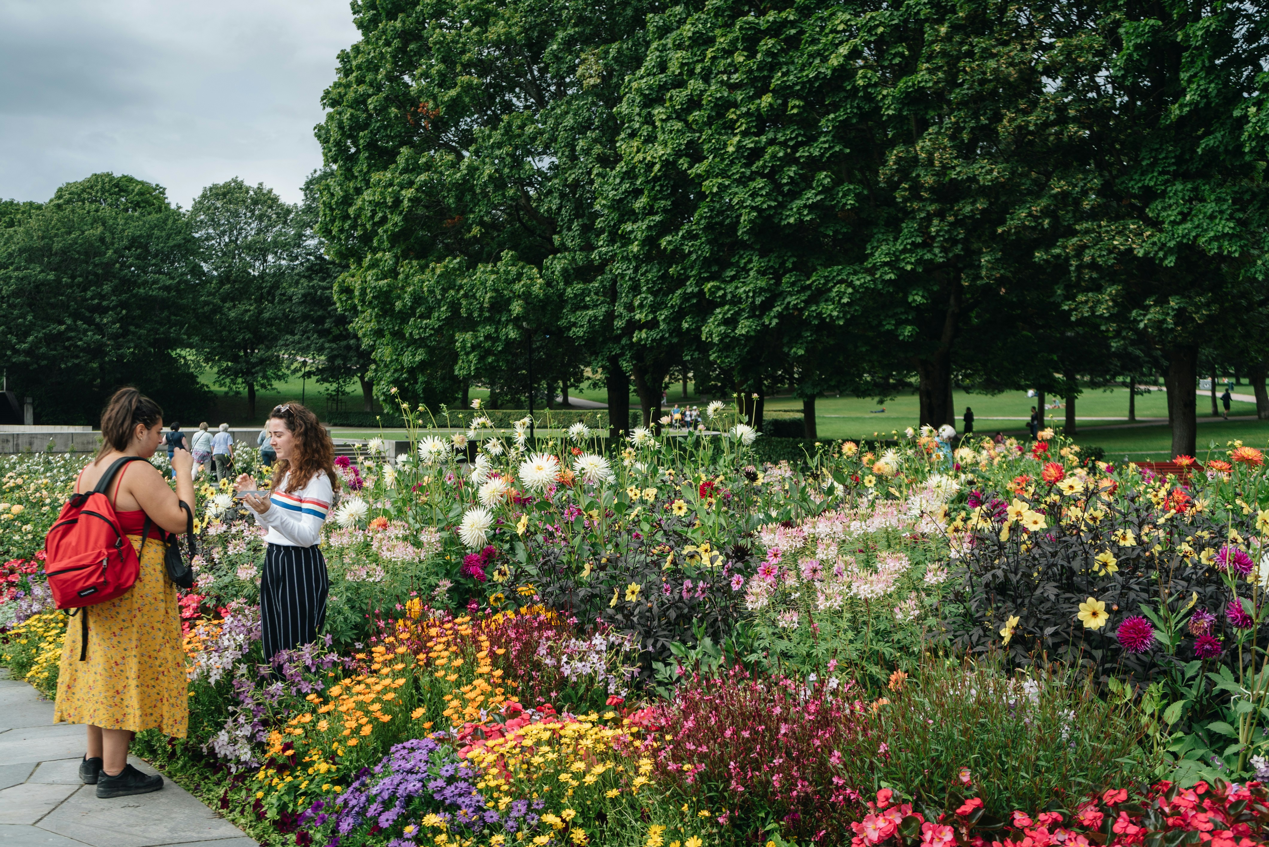 2 women standing on flower garden during daytime