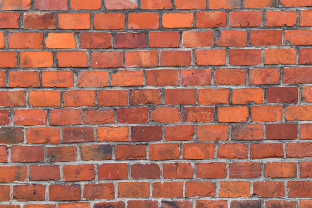 brown and white brick wall