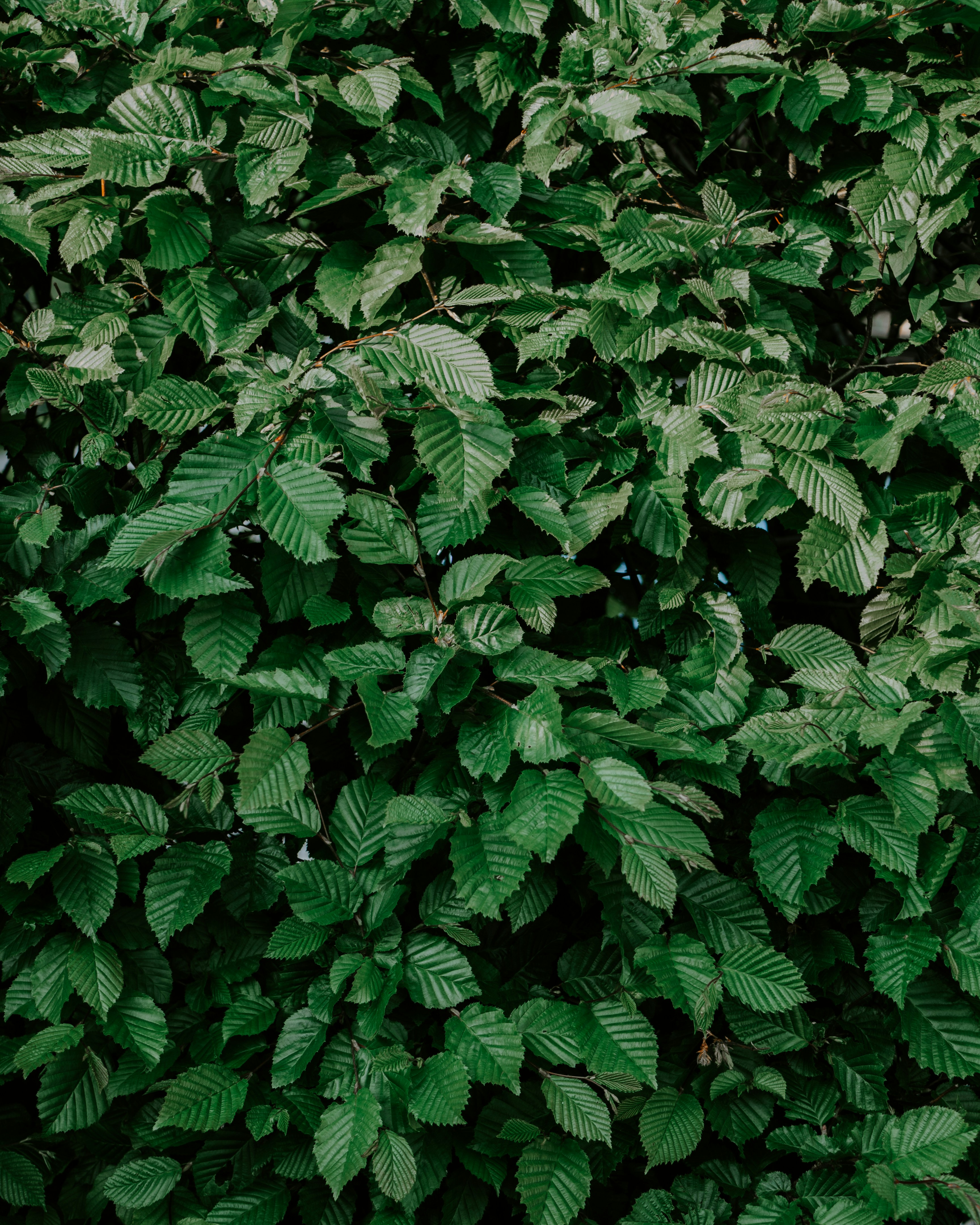 Photo by matthiasoberholzer