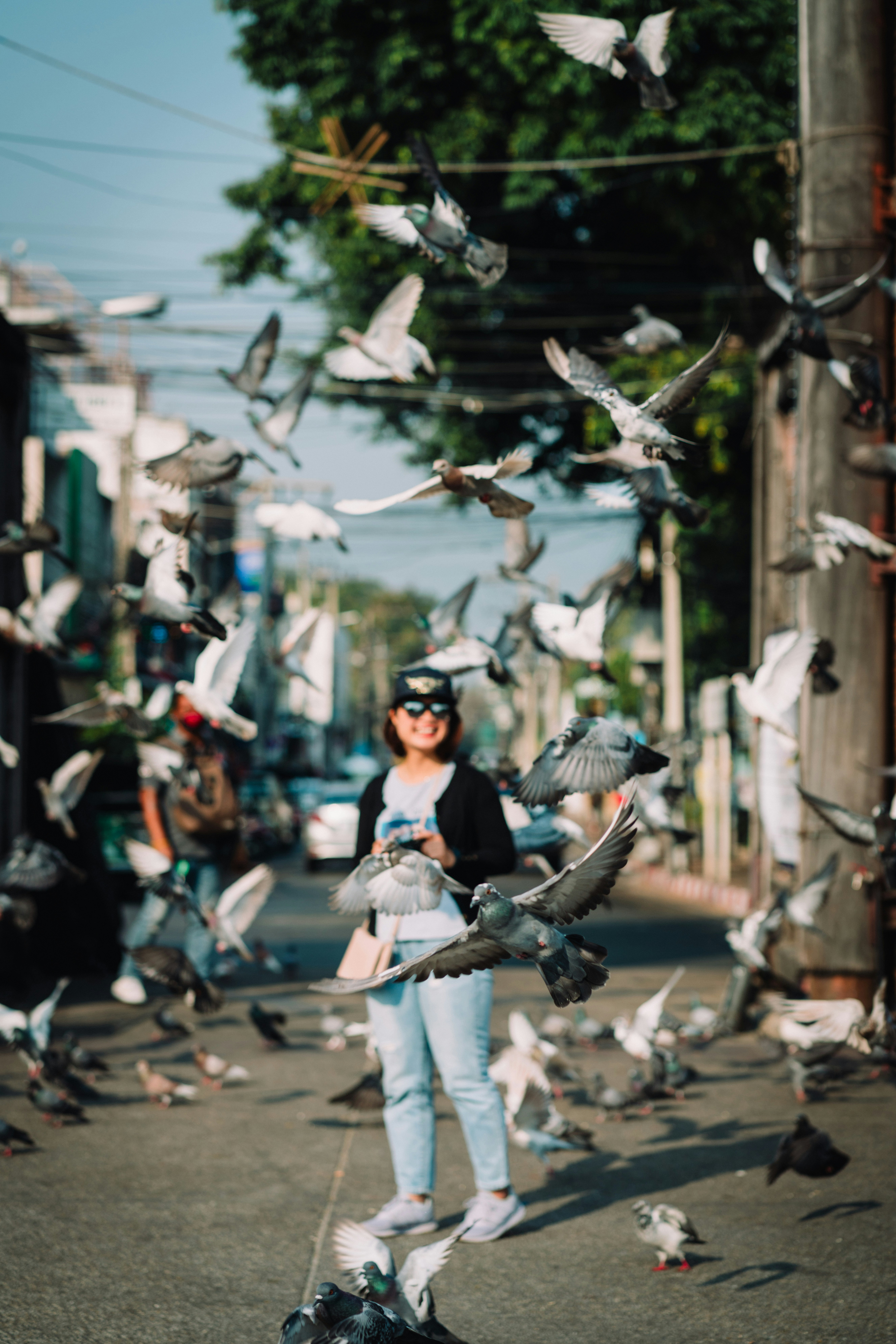 Birds flying around a lady