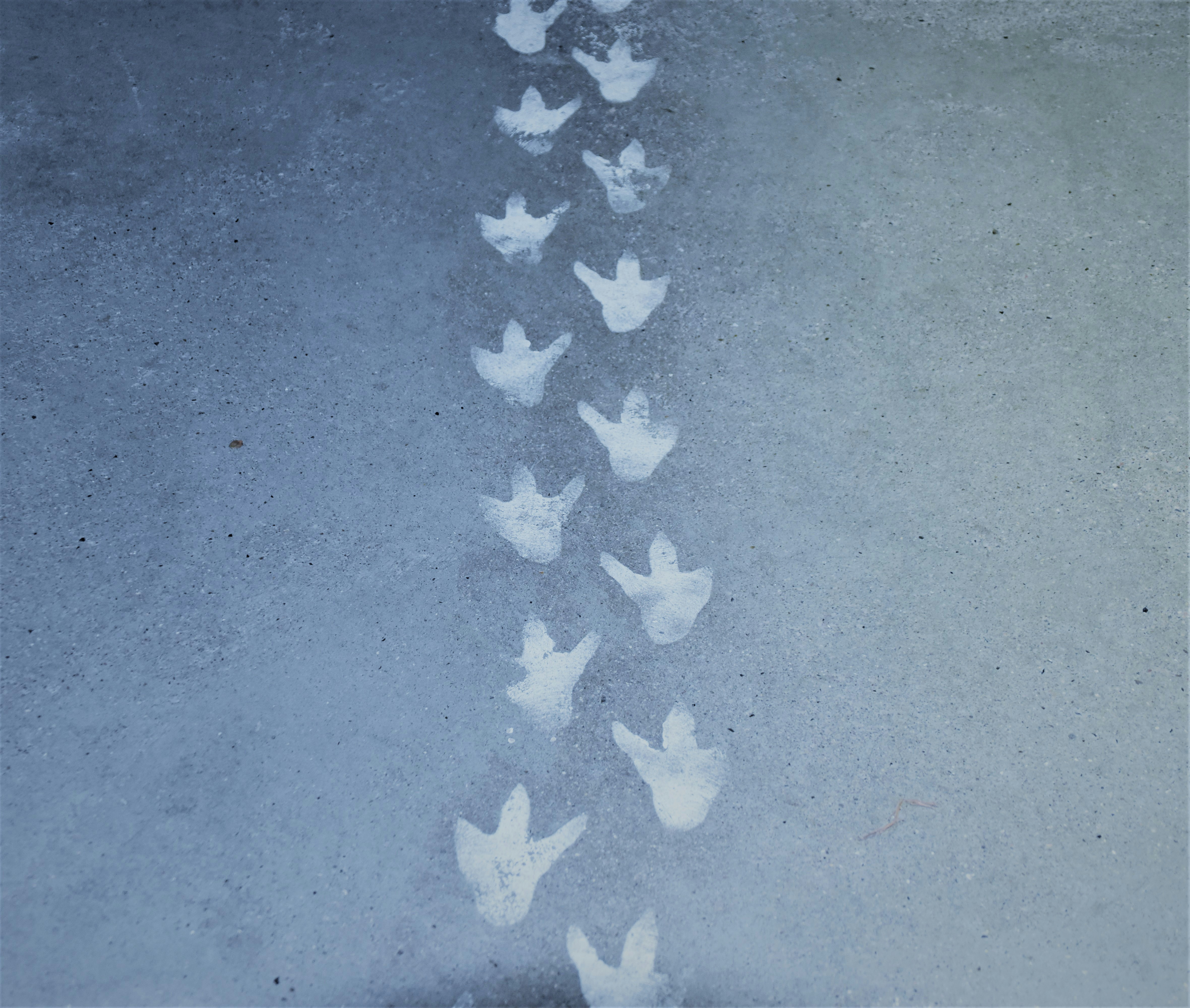 Photo by waldemarbrandt67w