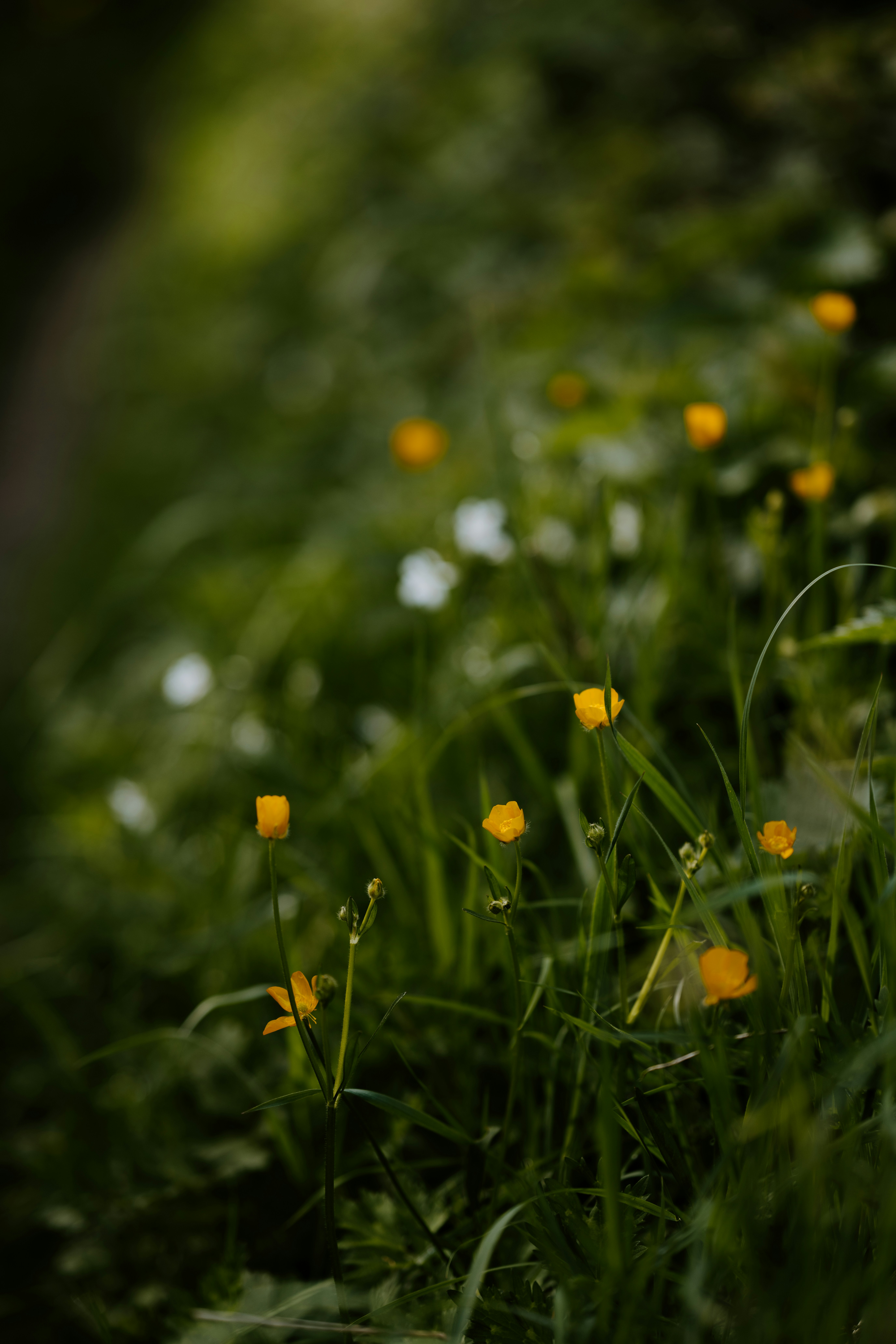 Photo by anniespratt