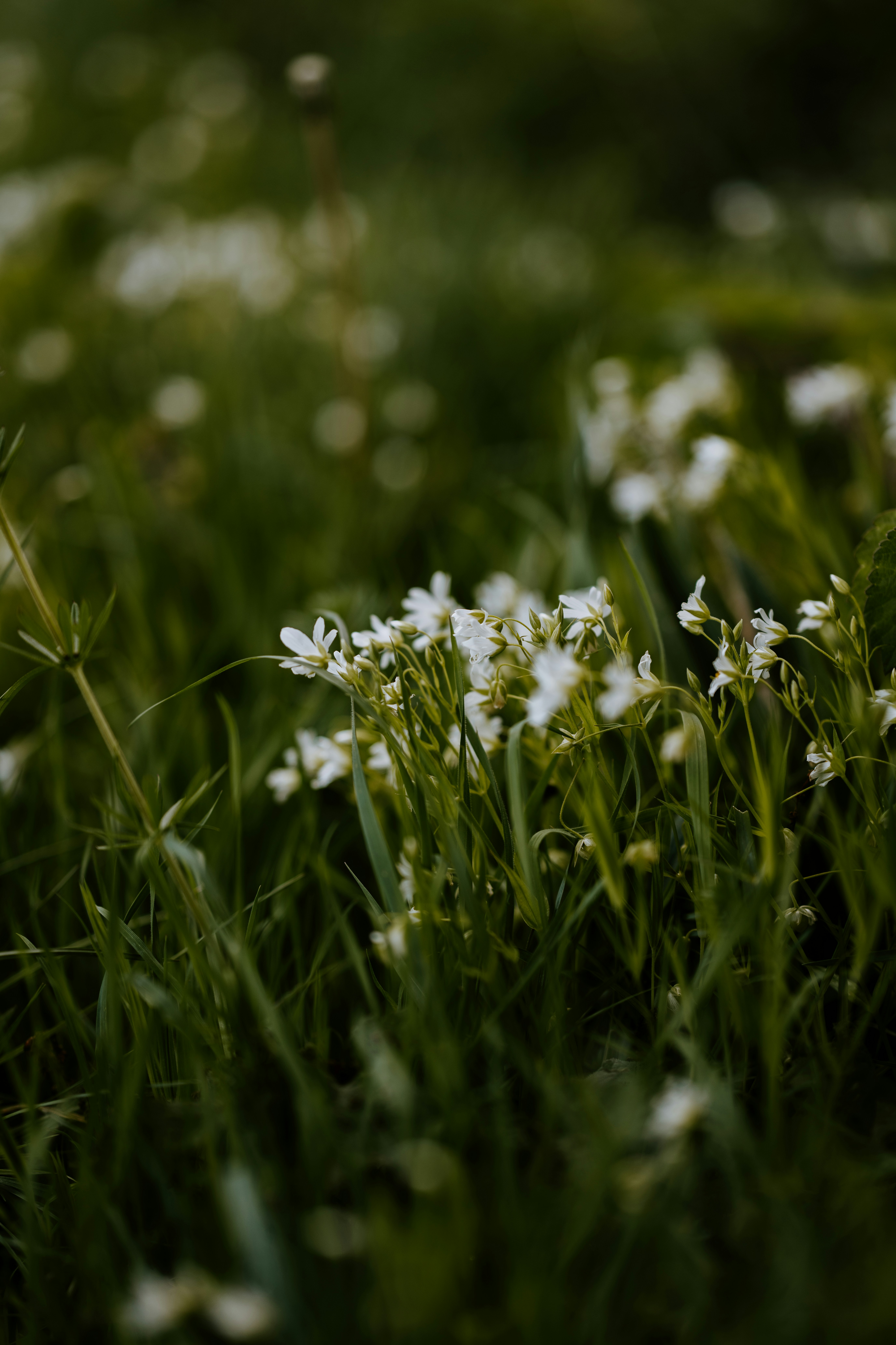 Photo by anniespratt