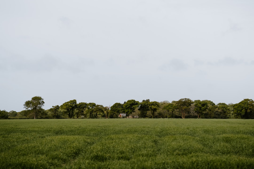 Plain photo spot New Forest National Park Oxford