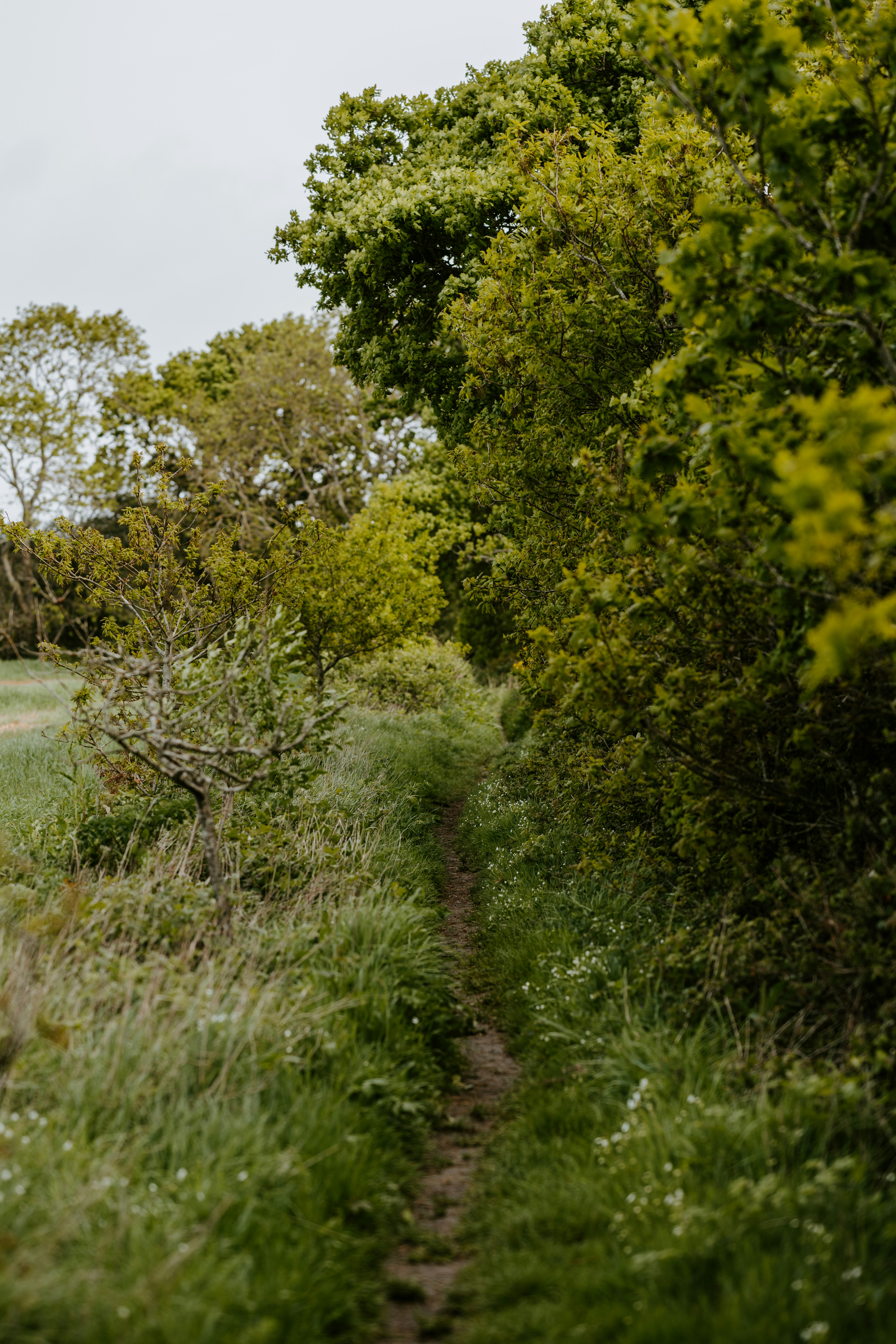 Photo by anniespratt