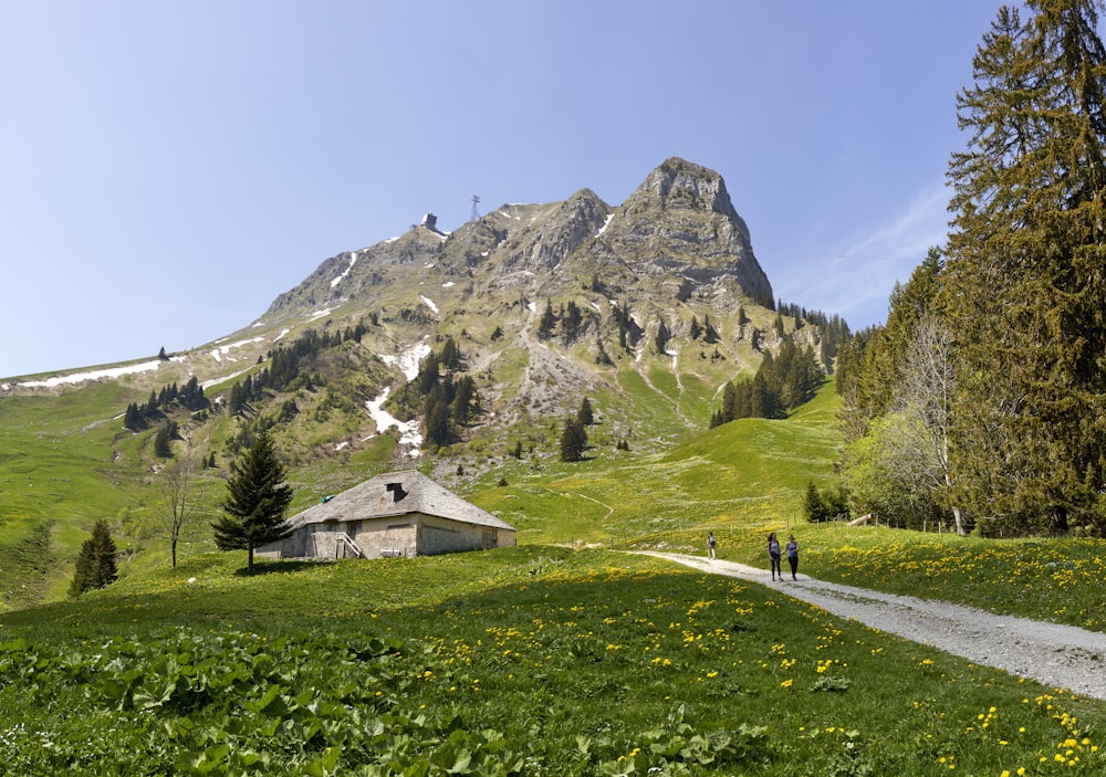 Weißes und braunes Haus auf grünem Grasfeld in der Nähe von Berg unter blauem Himmel tagsüber