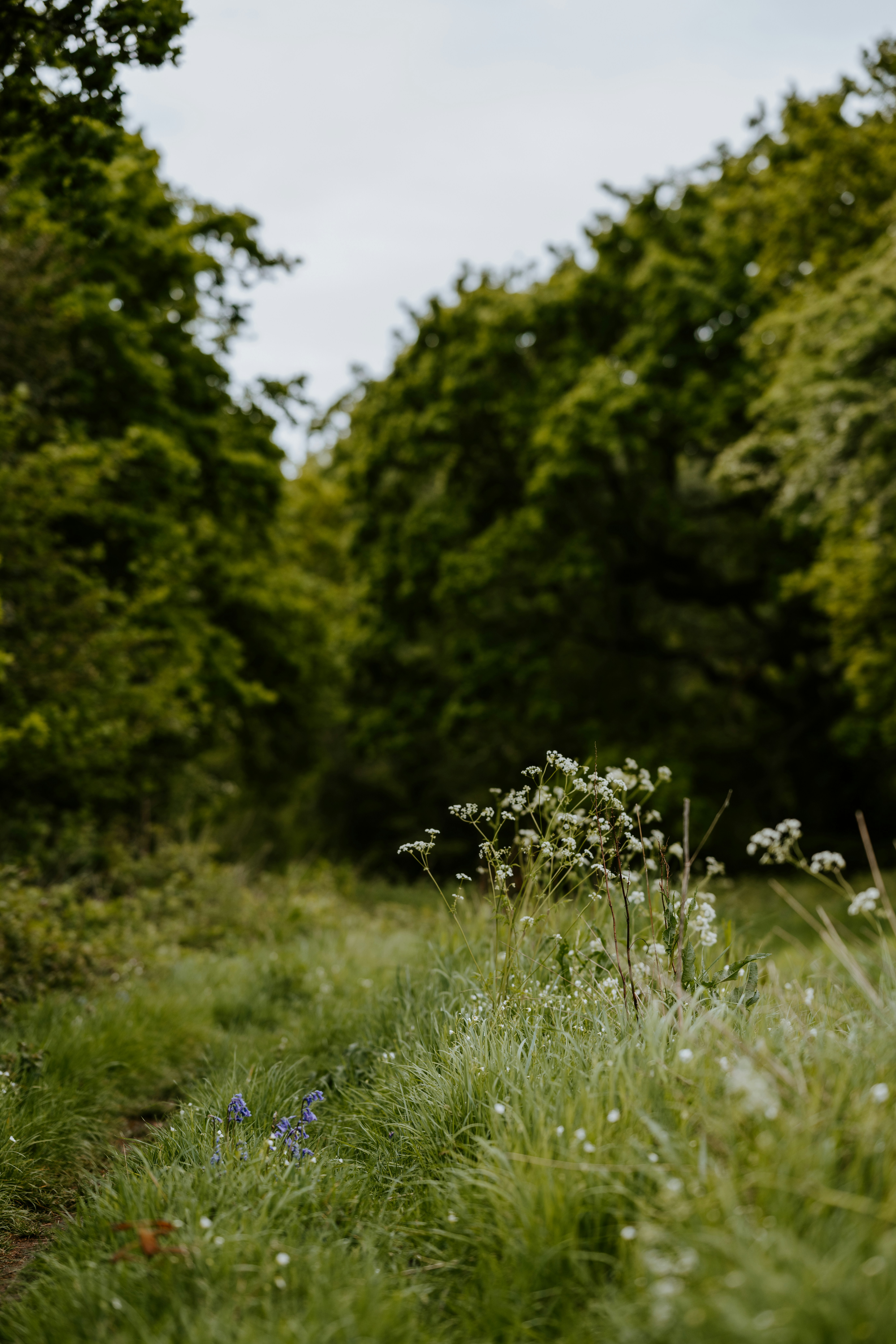 Photo by anniespratt