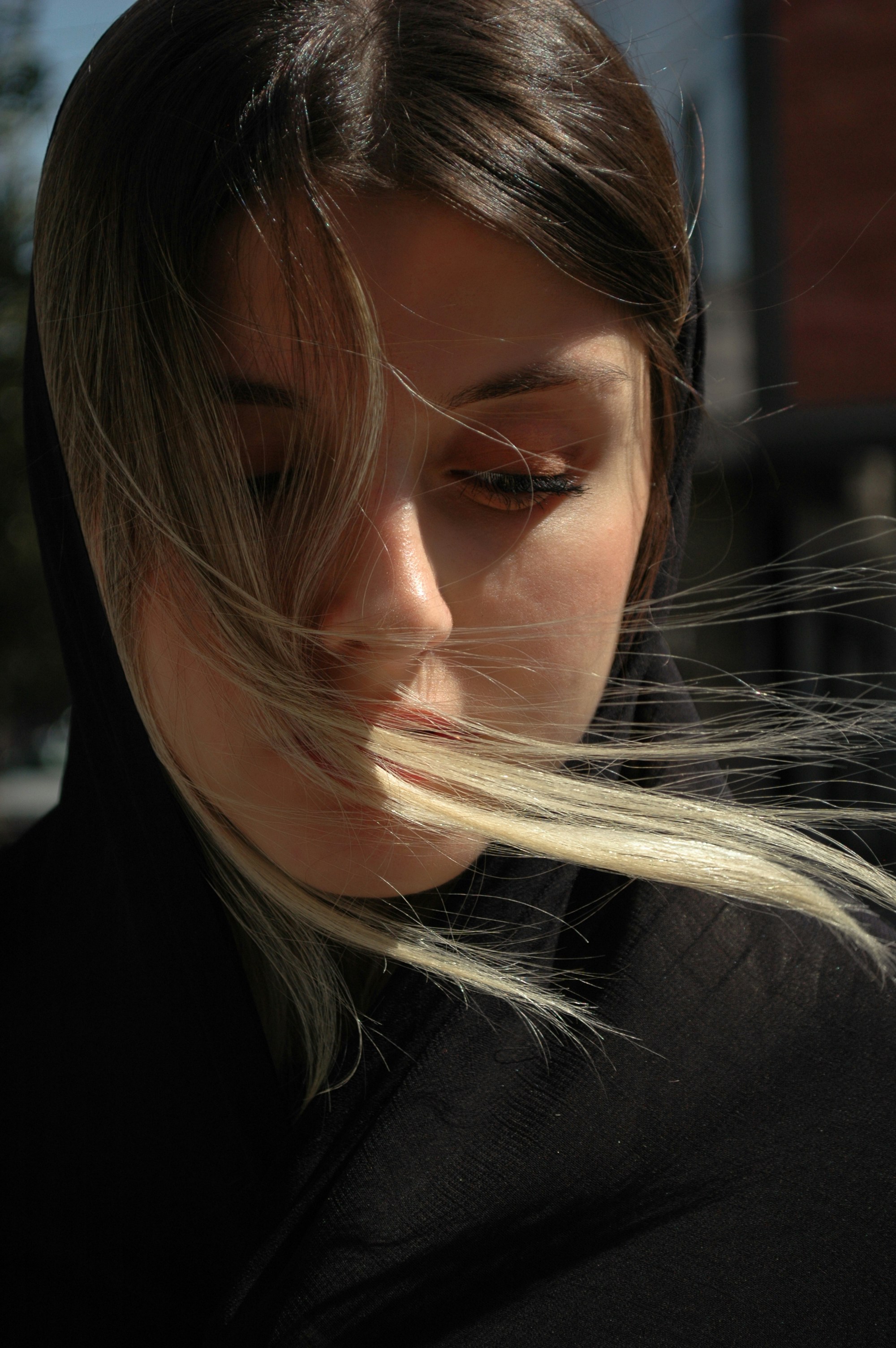 Photo by baranlotfollahi