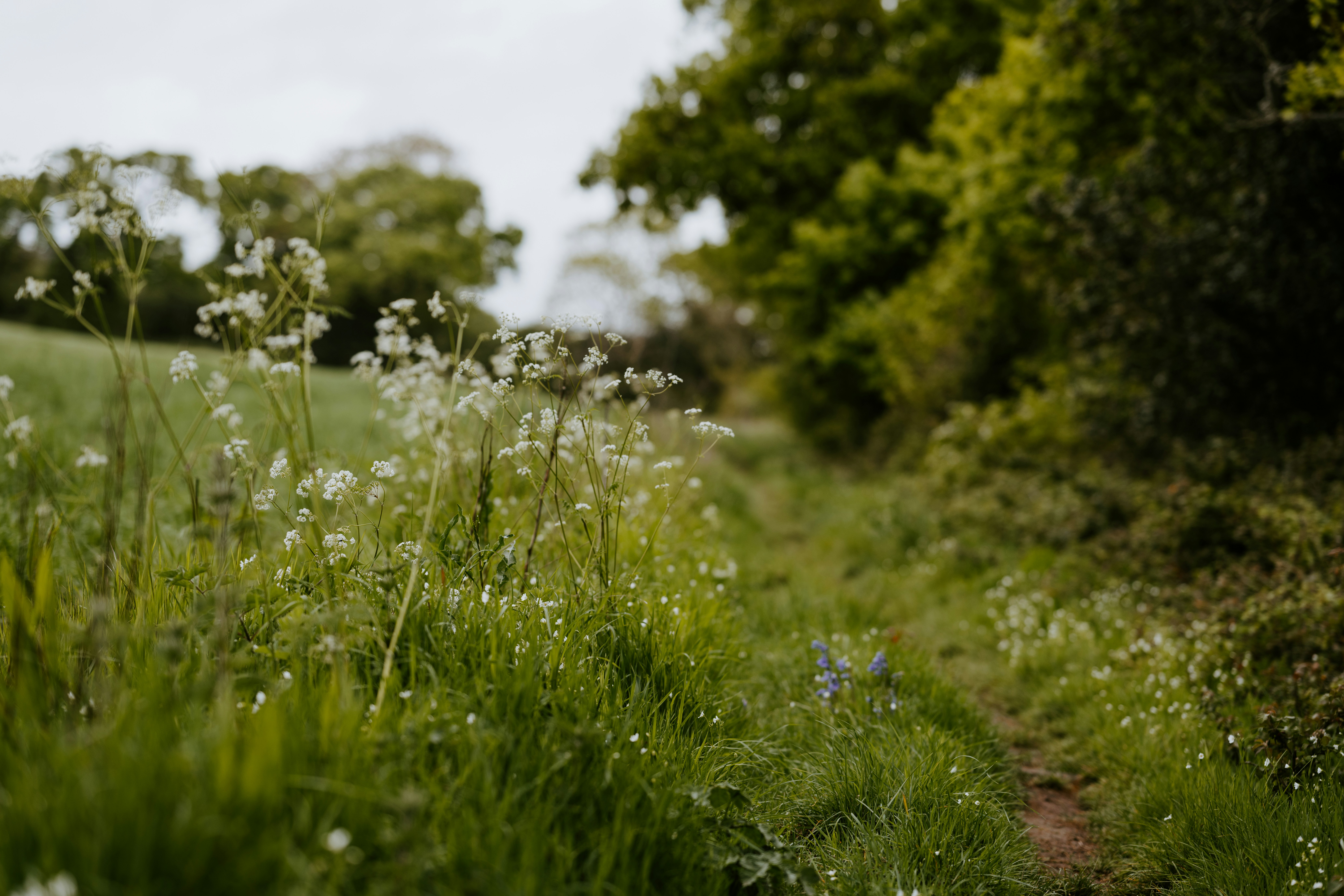 Photo by anniespratt