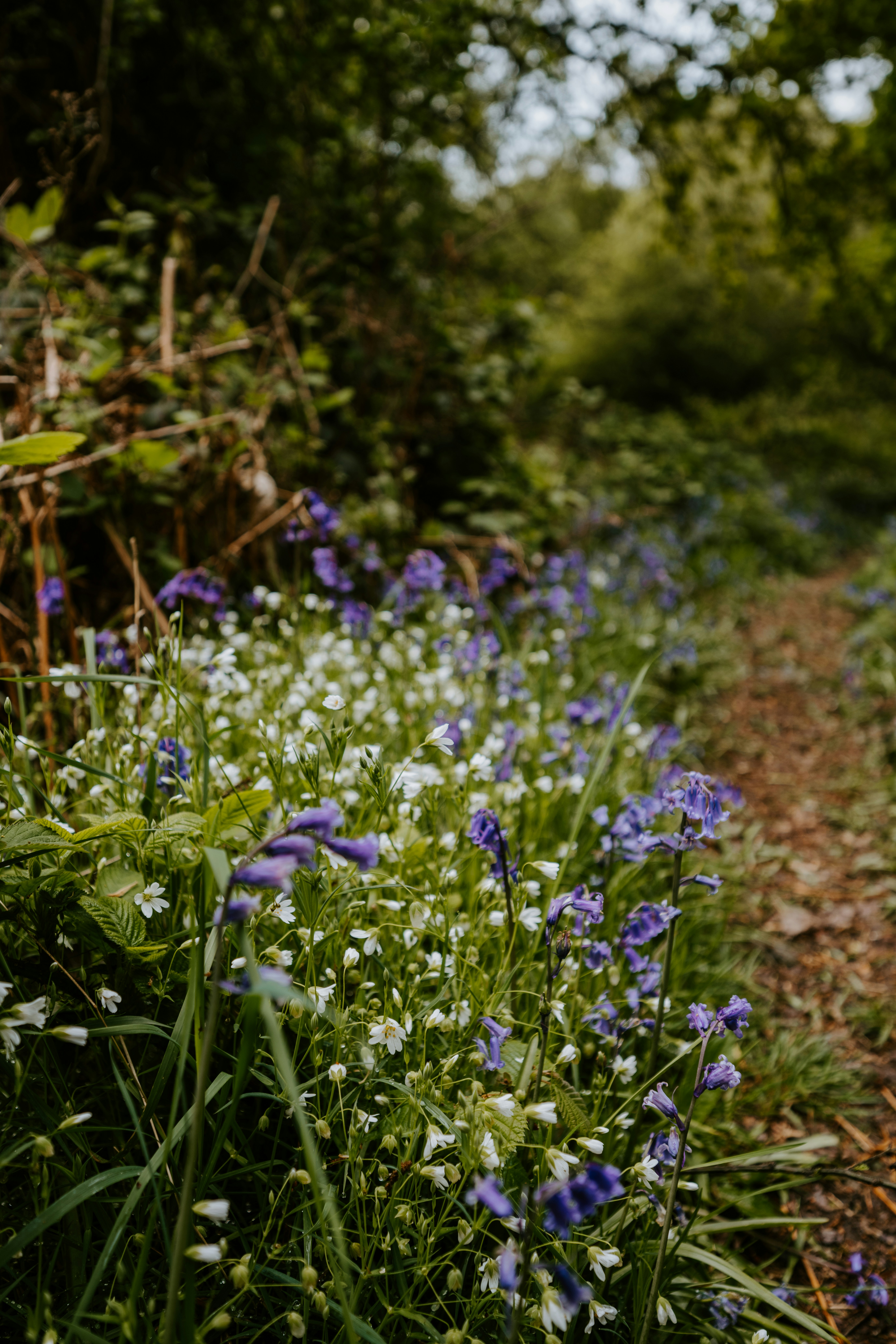 Photo by anniespratt