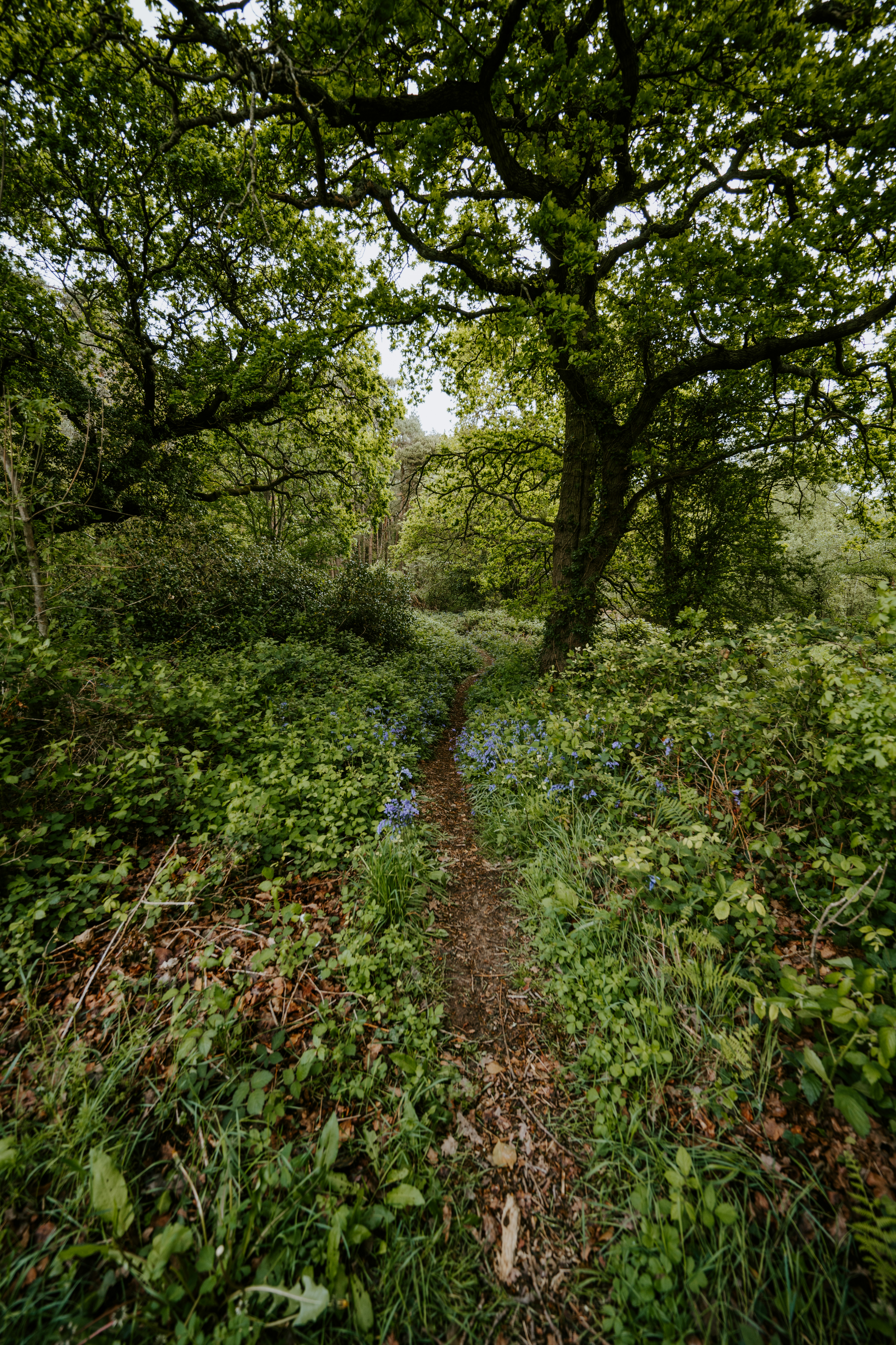 Photo by anniespratt