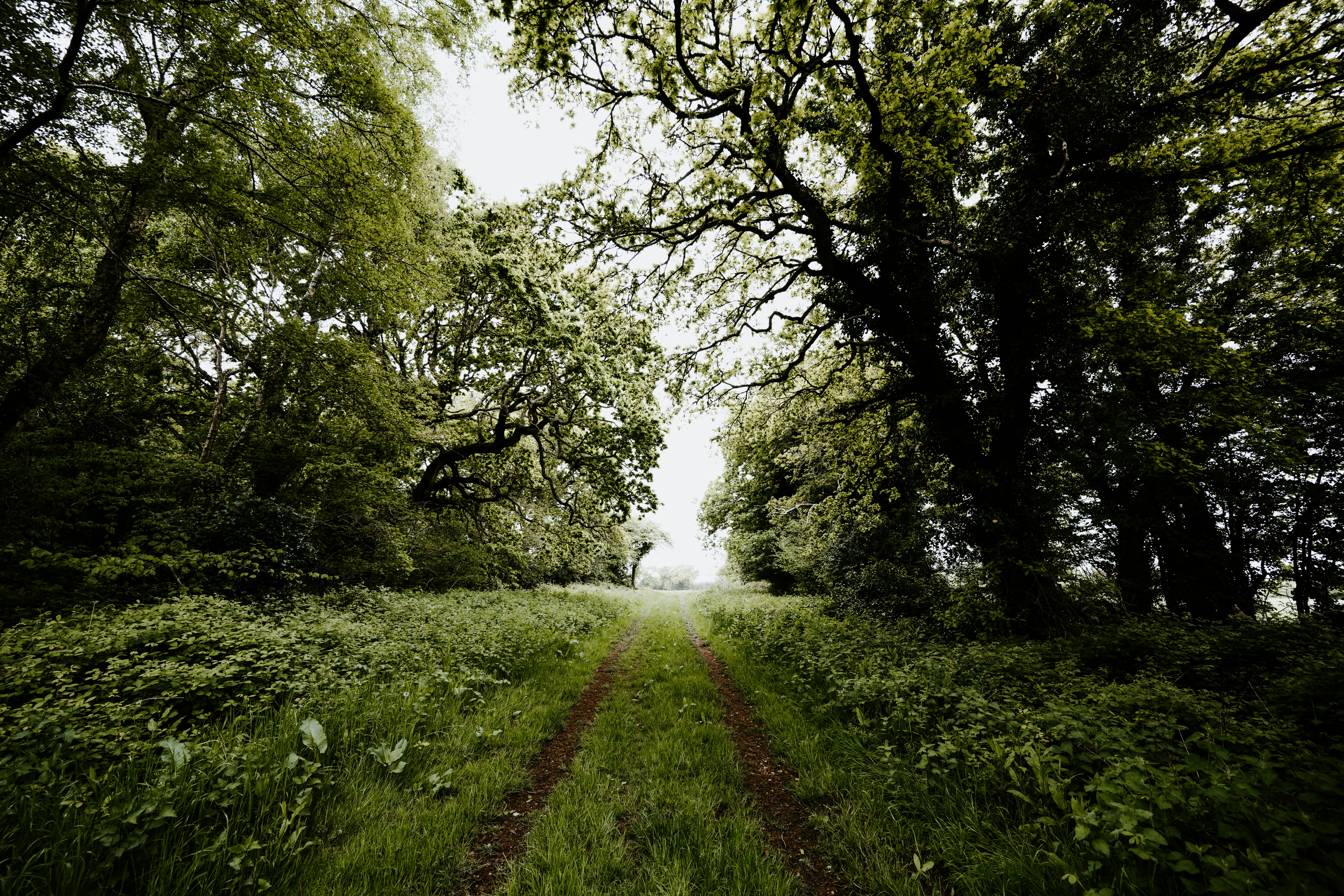 Photo by anniespratt