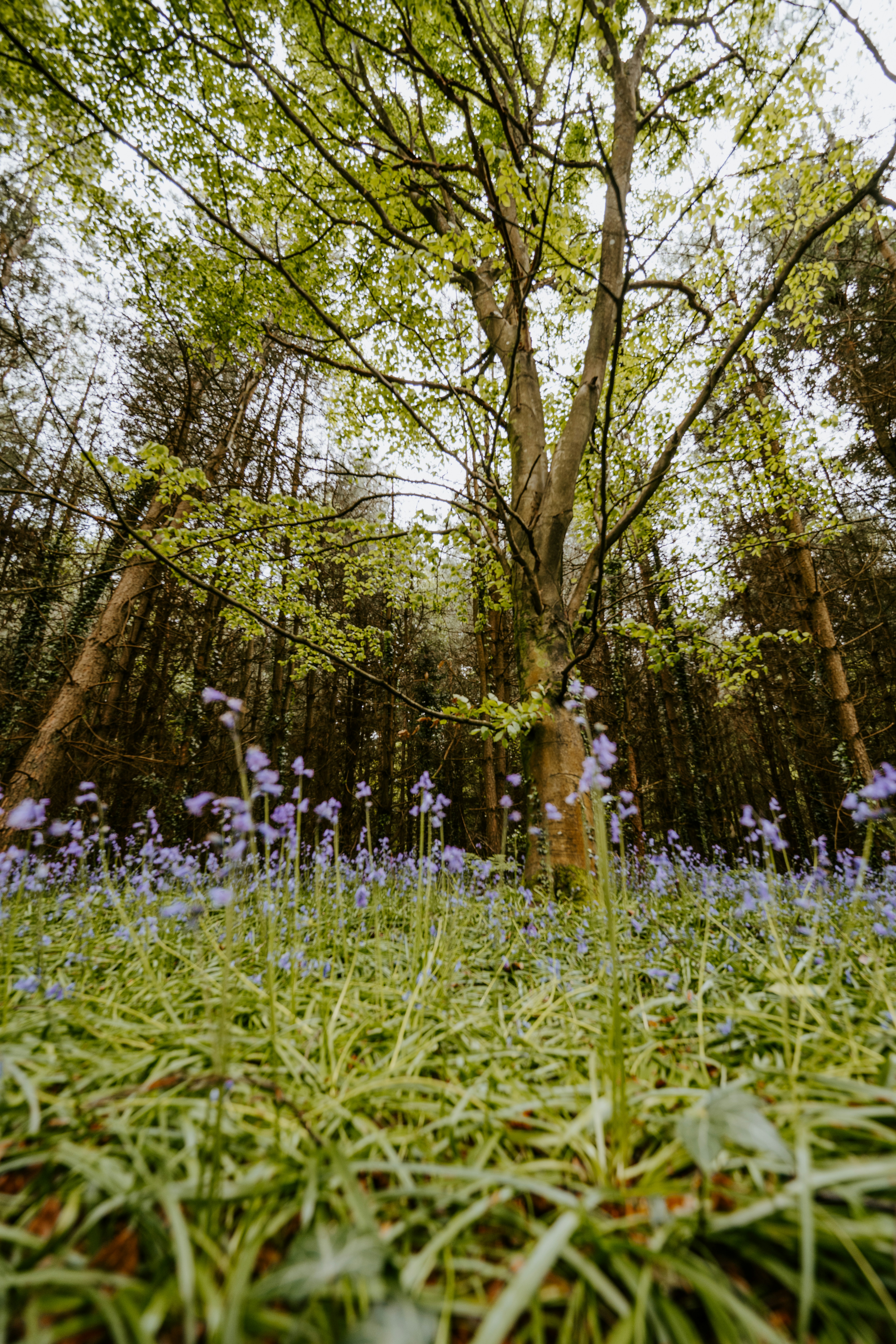 Photo by anniespratt