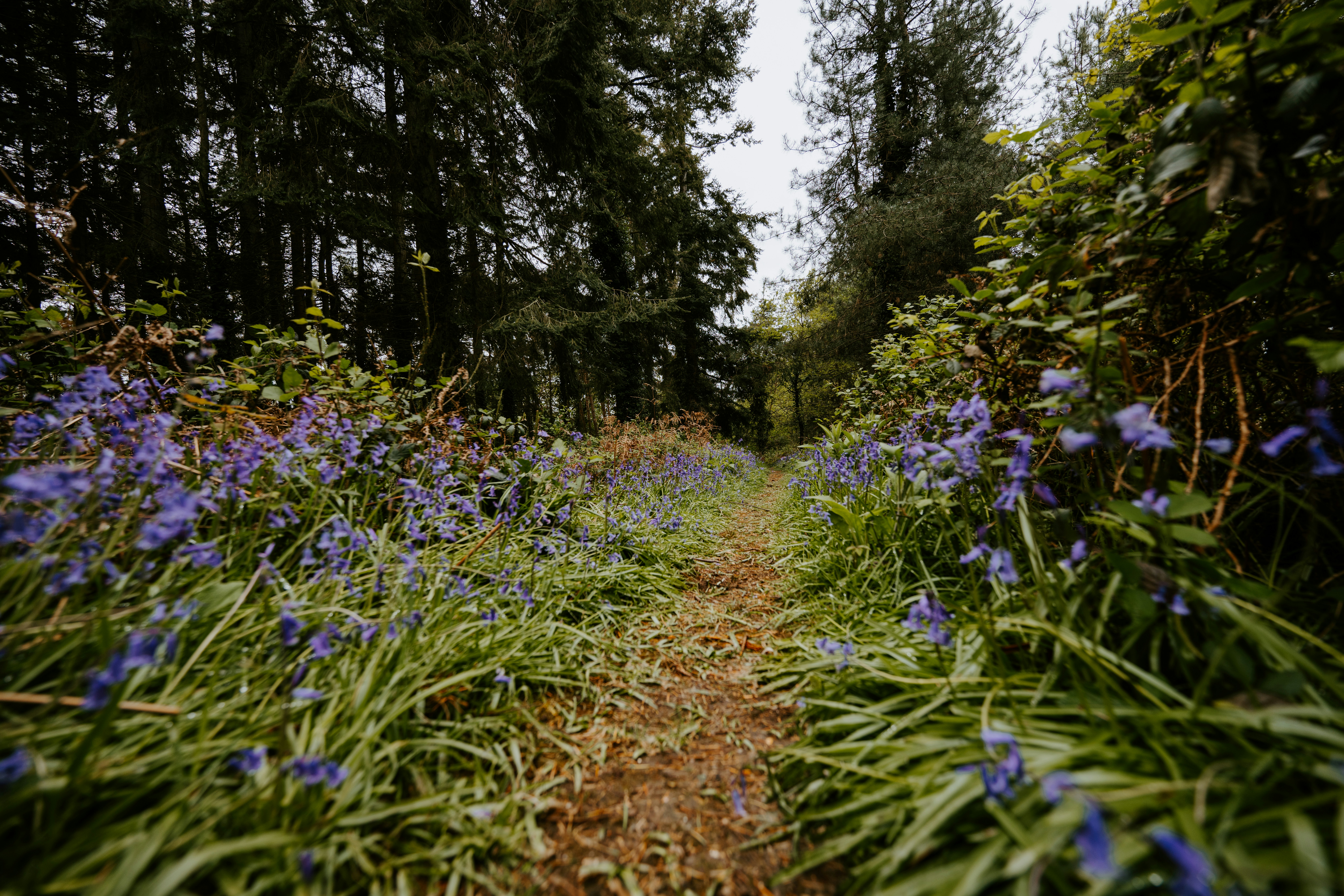 Photo by anniespratt