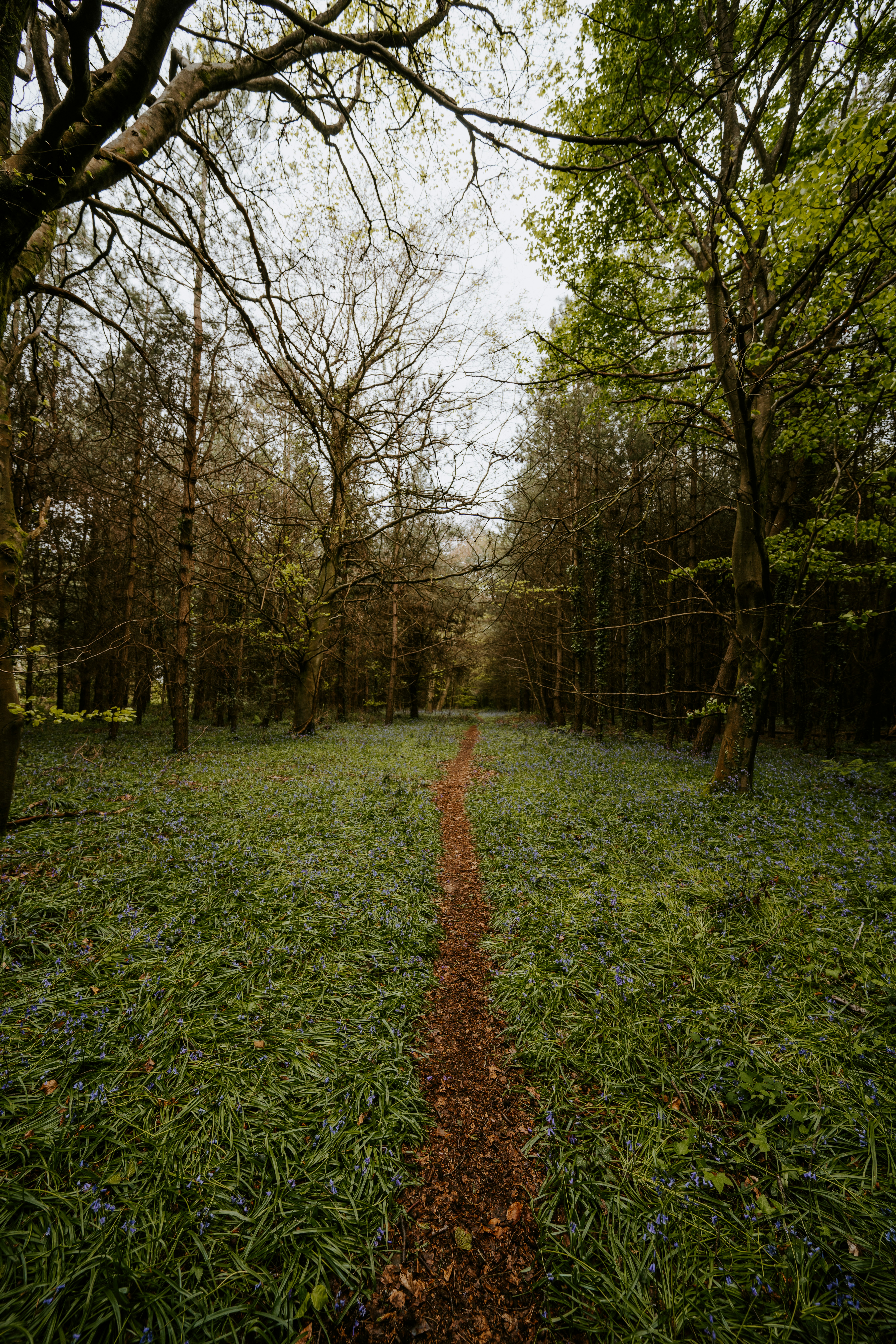 Photo by anniespratt