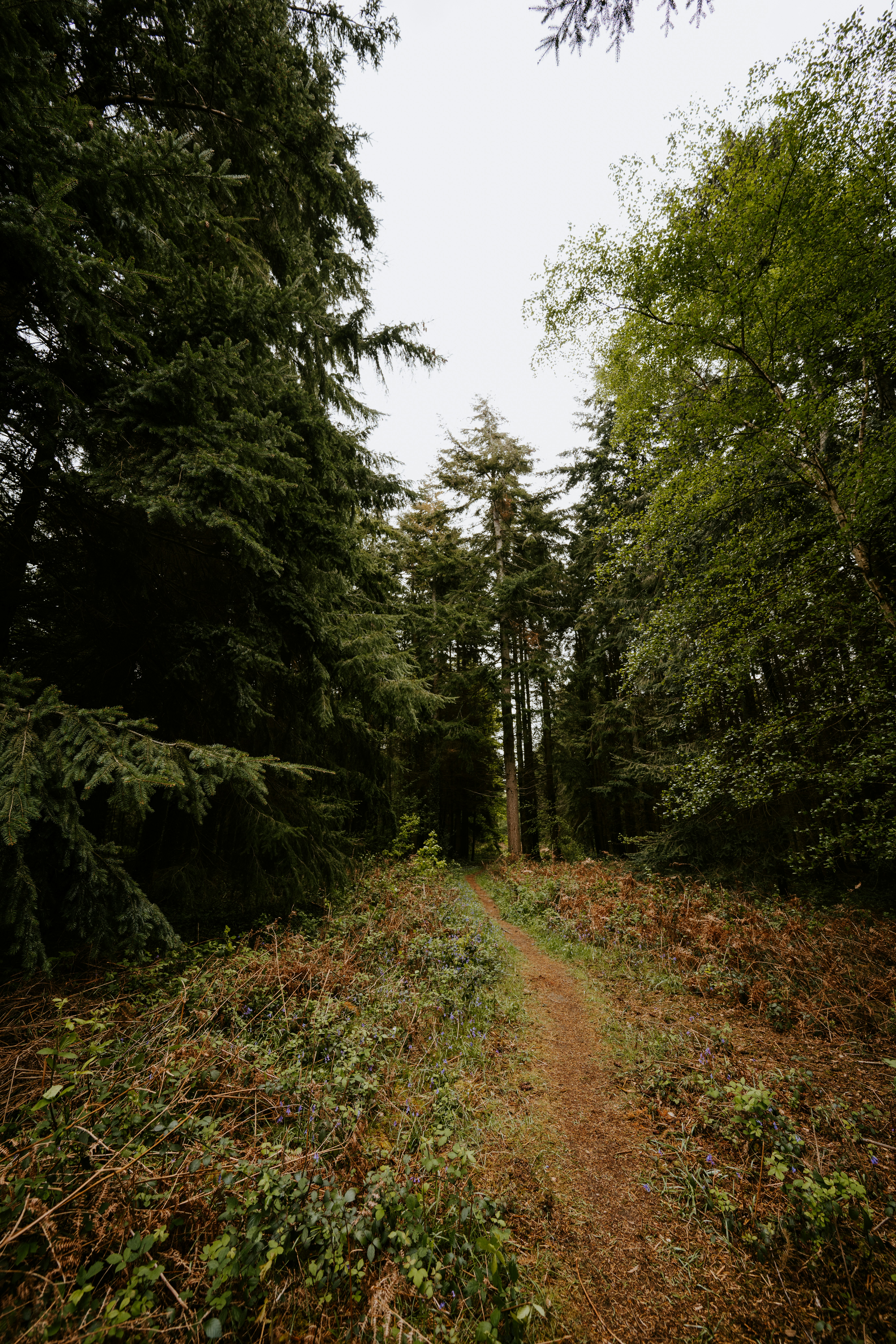 Photo by anniespratt