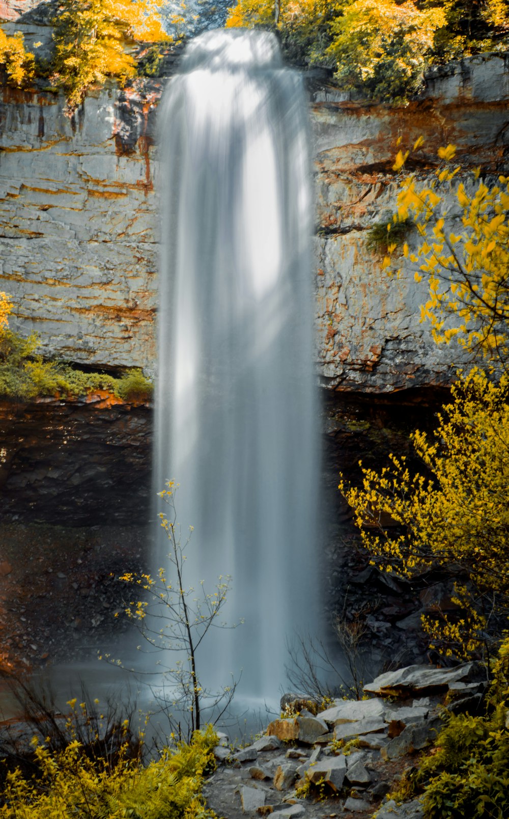 water falls in the middle of the forest