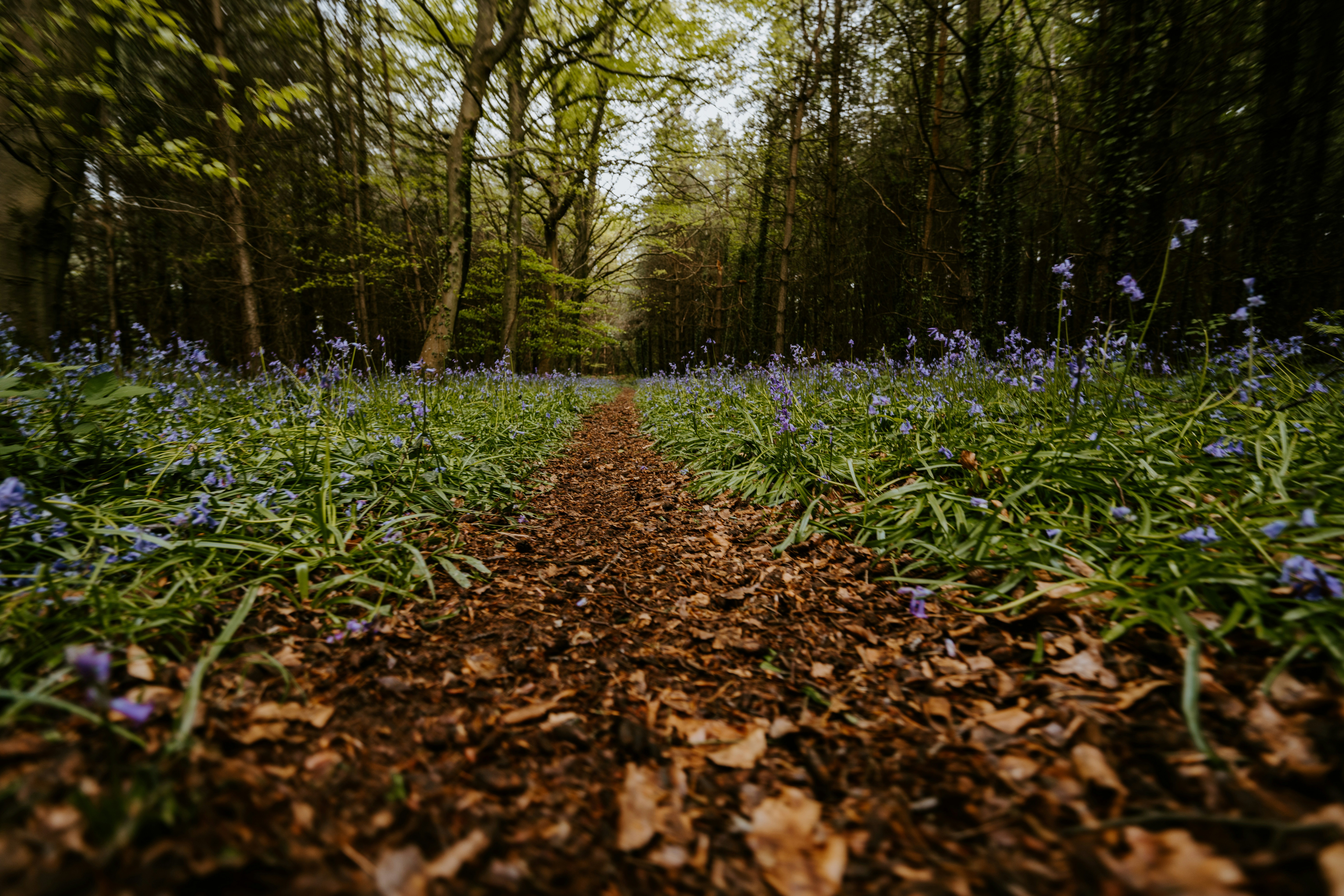 Photo by anniespratt