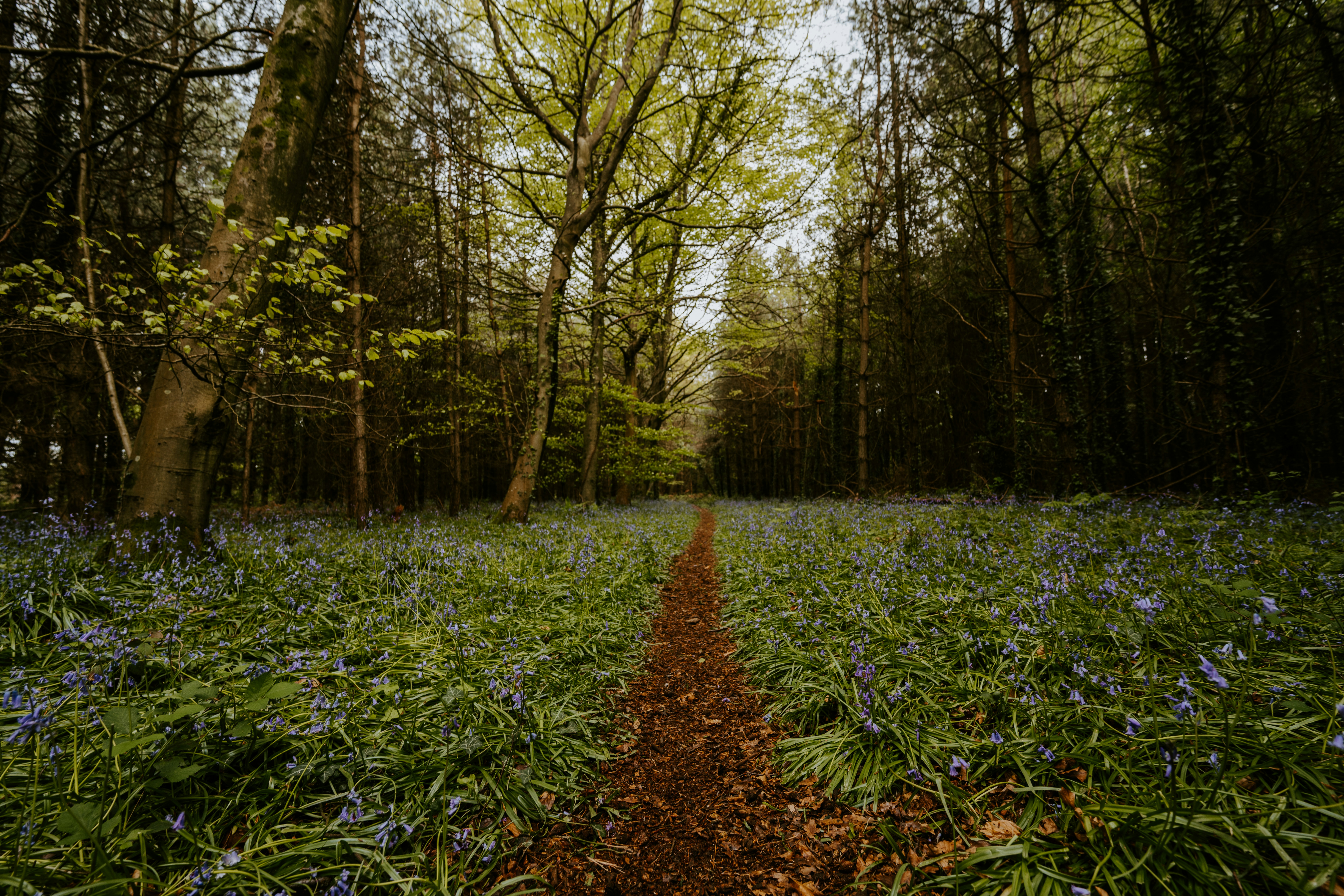 Photo by anniespratt