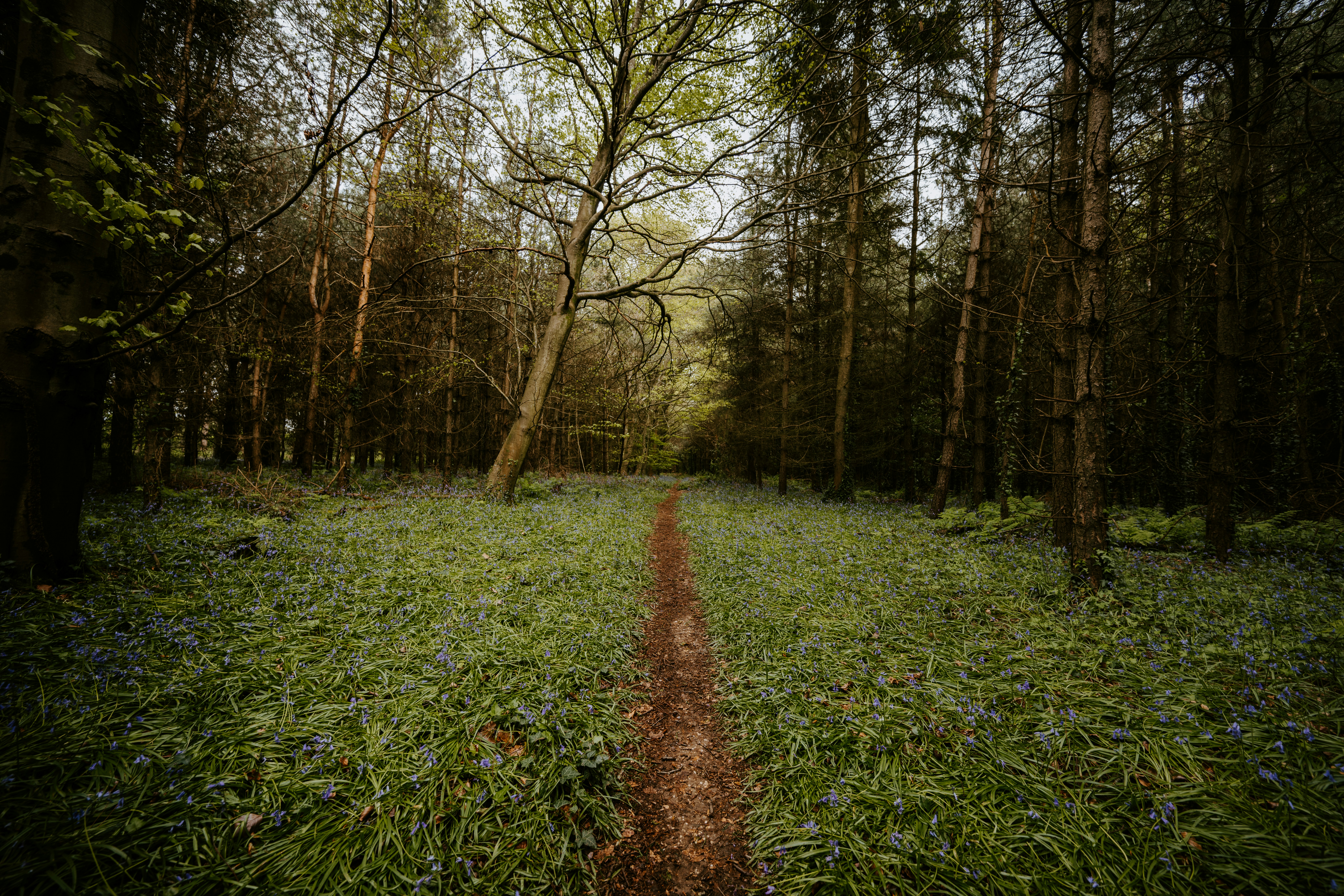 Photo by anniespratt