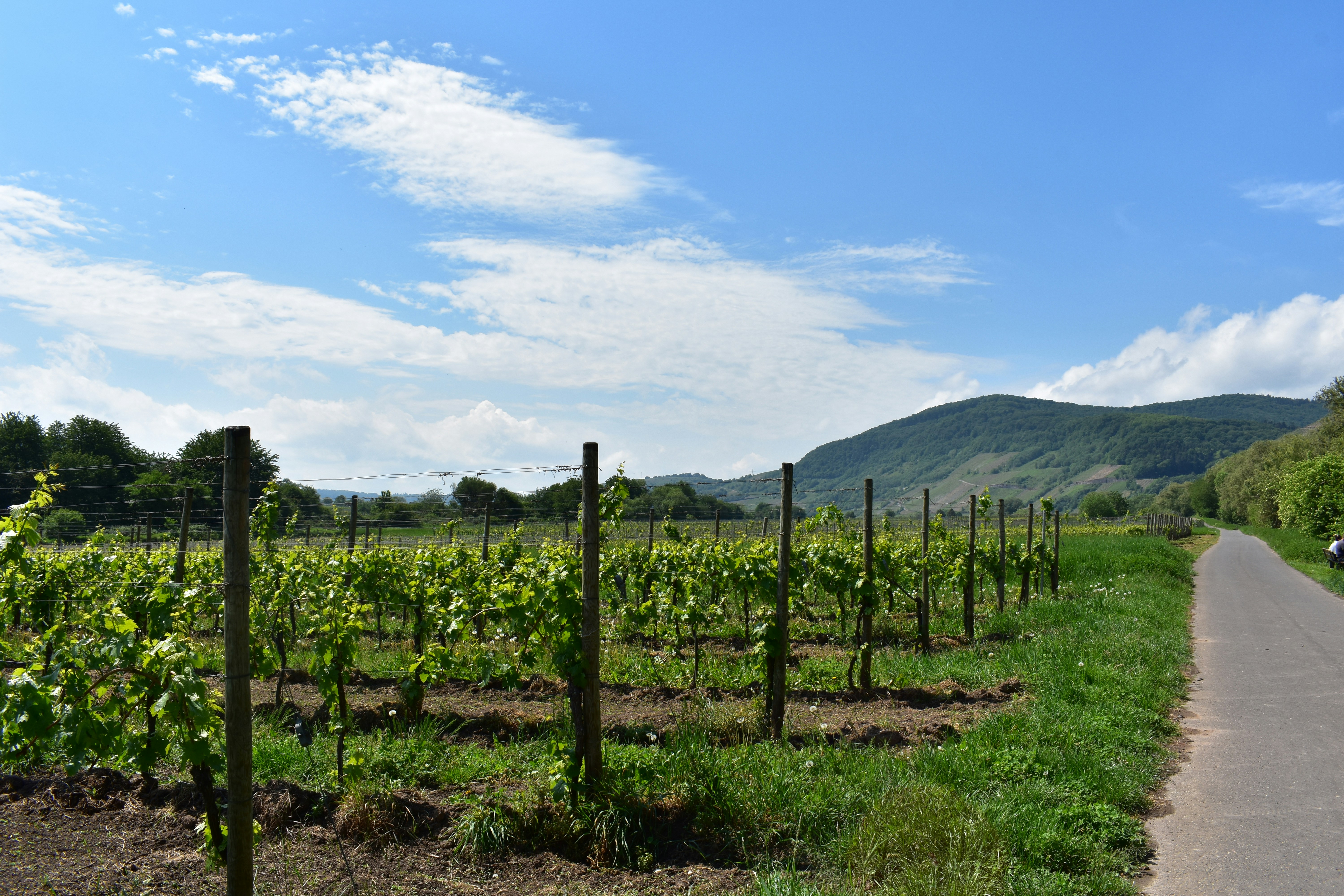 Photo by monettesarah8