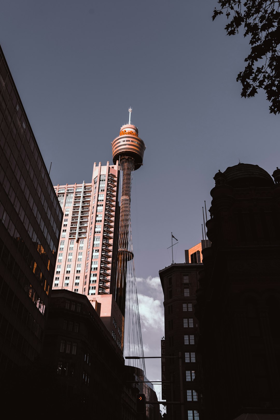 Landmark photo spot Sydney Tower Sydney