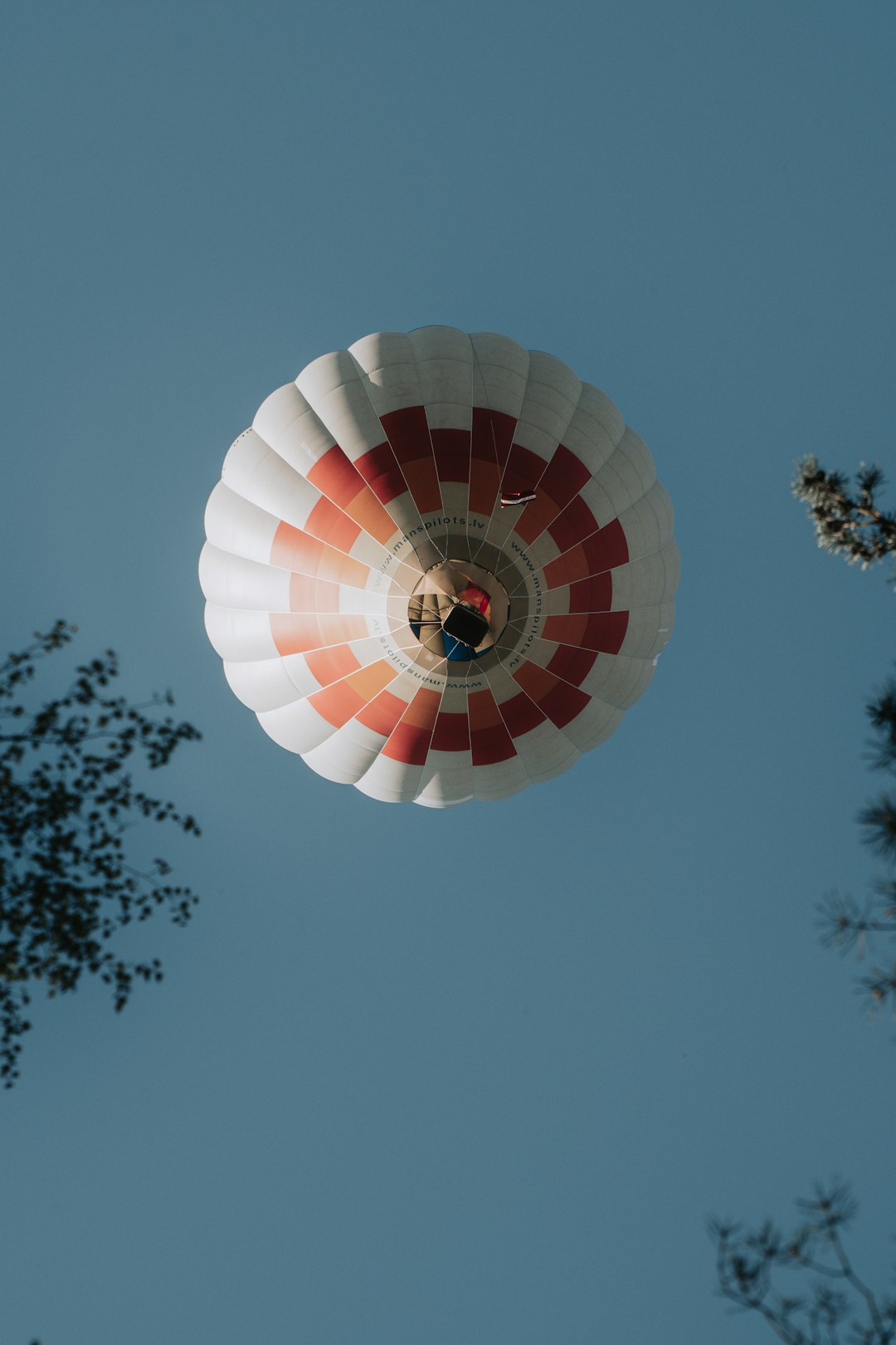 red yellow and blue hot air balloon in mid air under blue sky during daytime