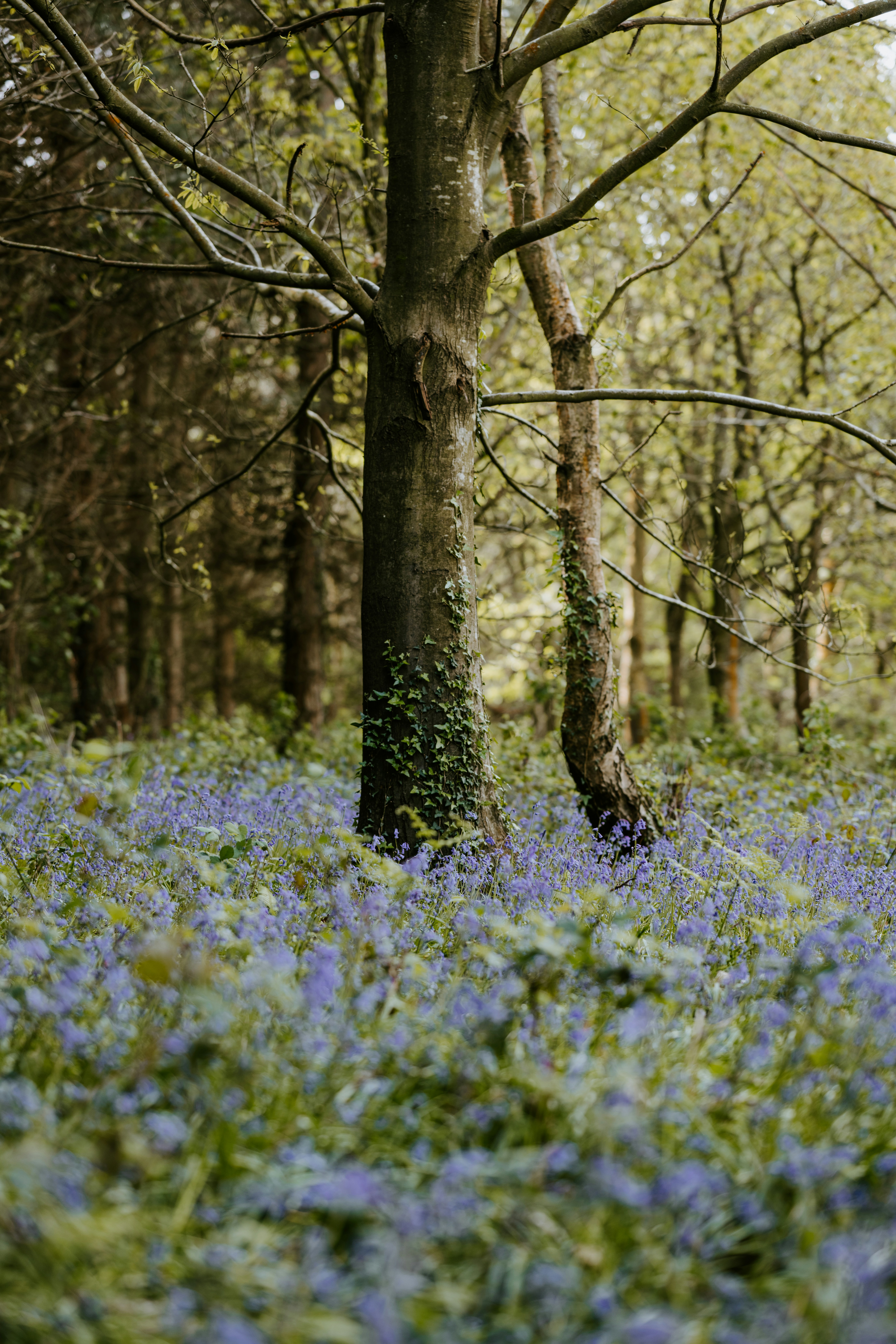 Photo by anniespratt