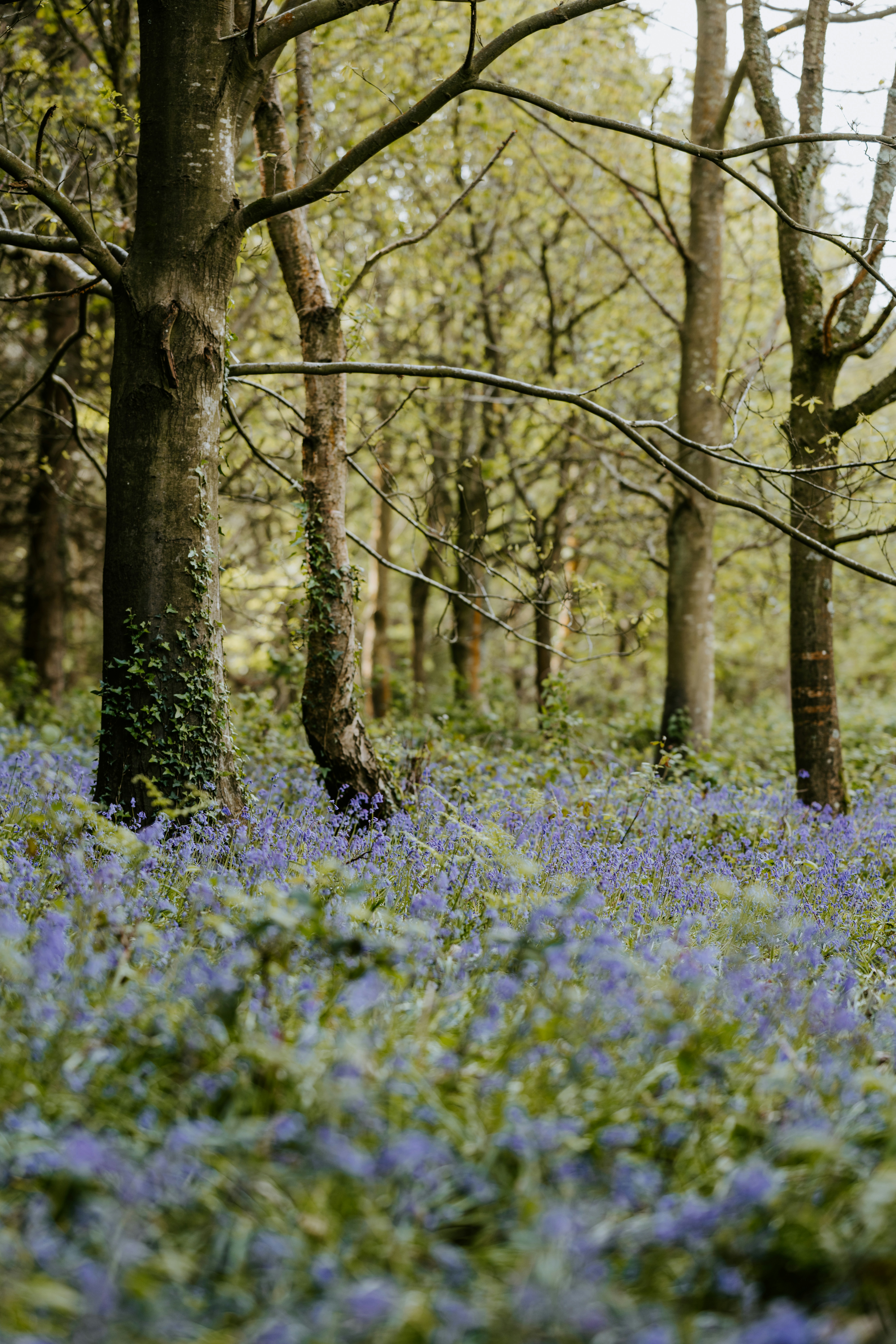 Photo by anniespratt