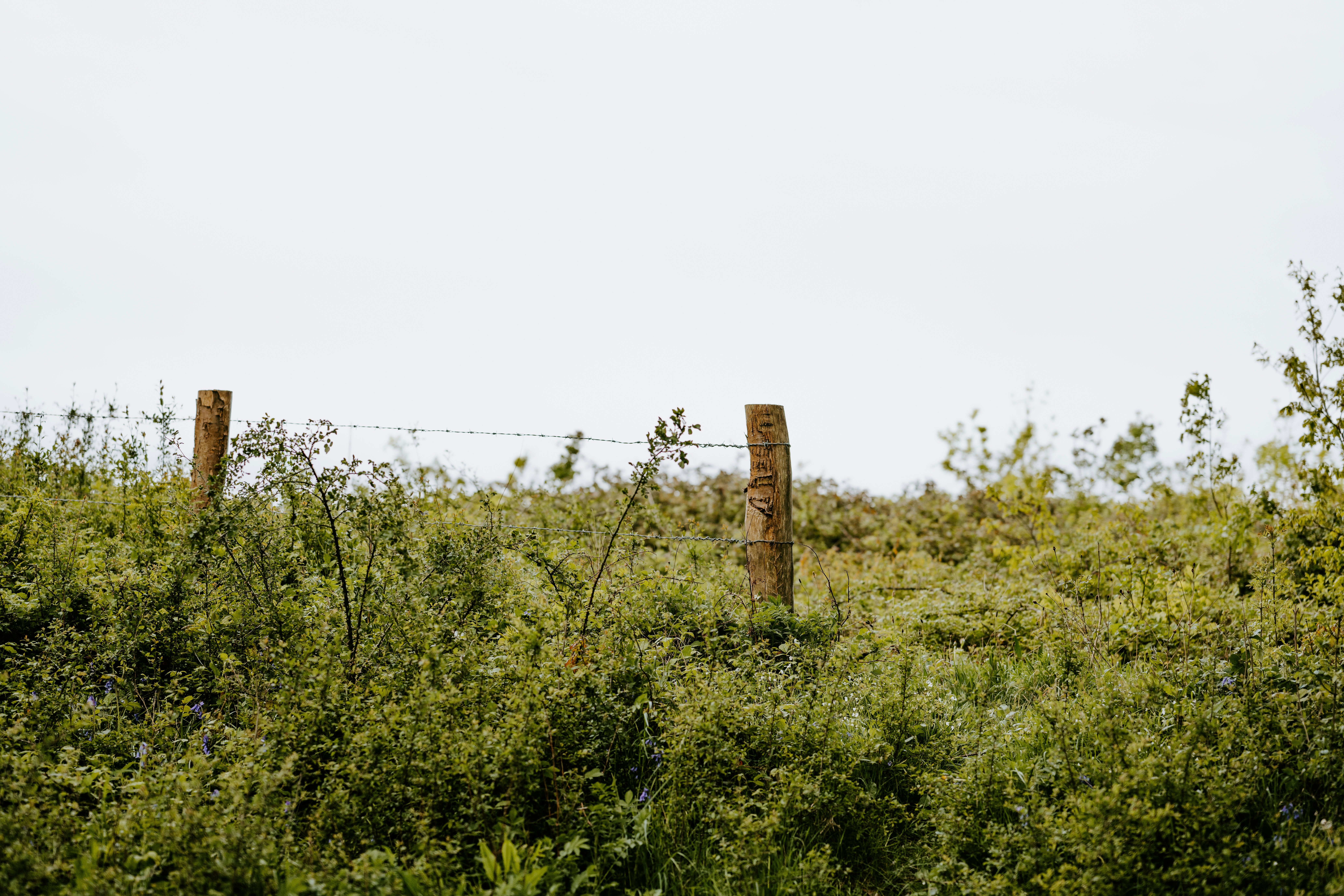 Photo by anniespratt