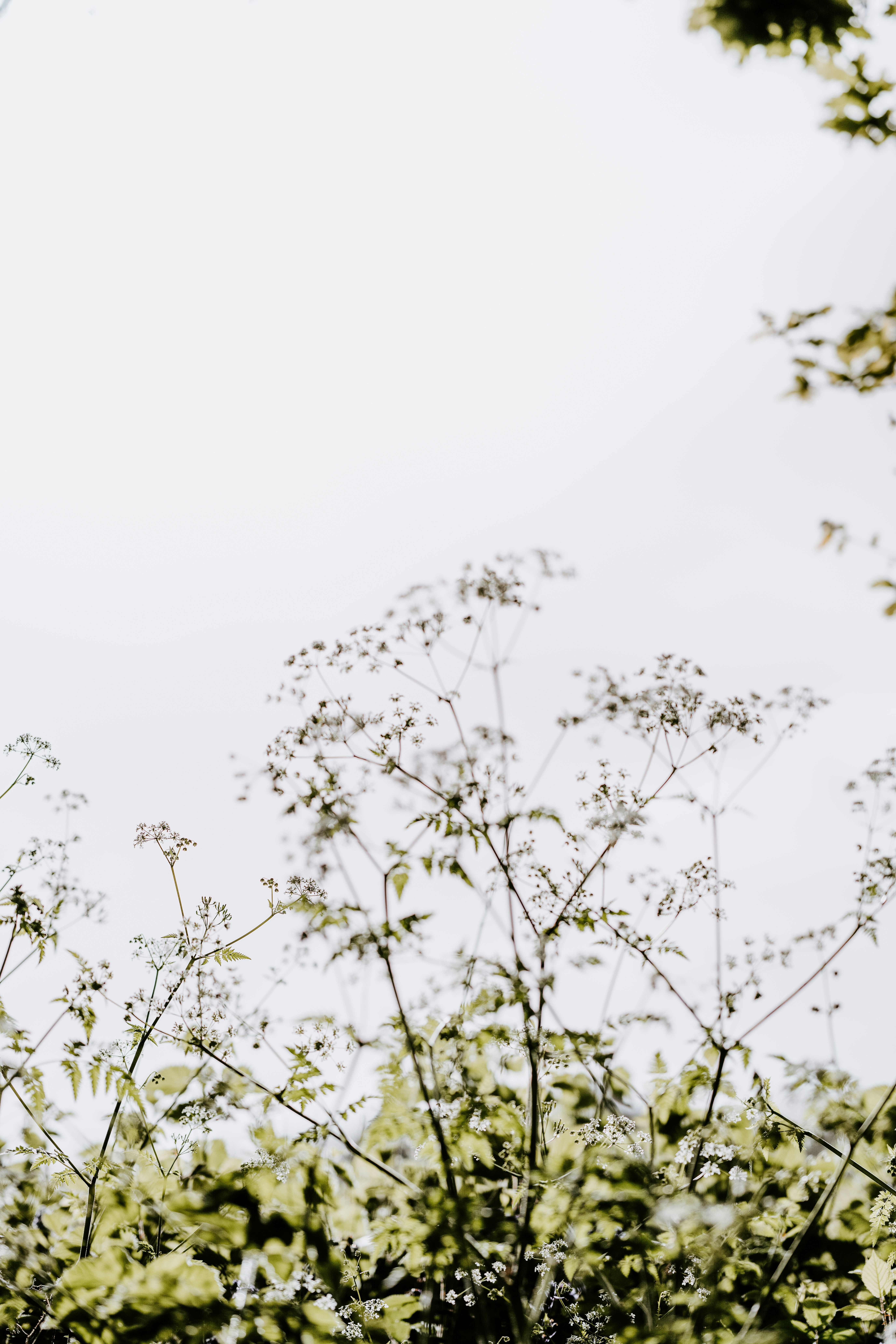 Photo by anniespratt