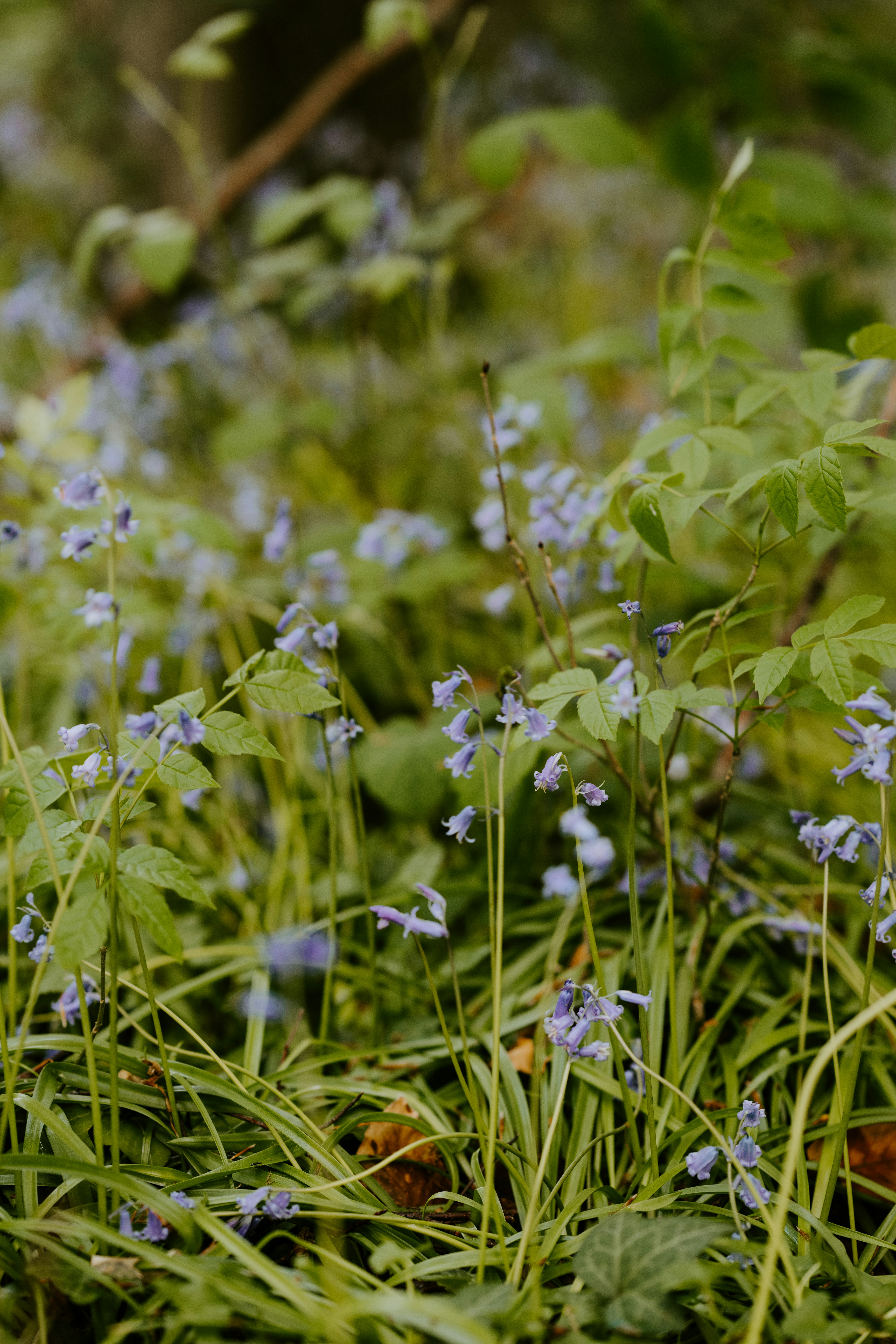 Photo by anniespratt