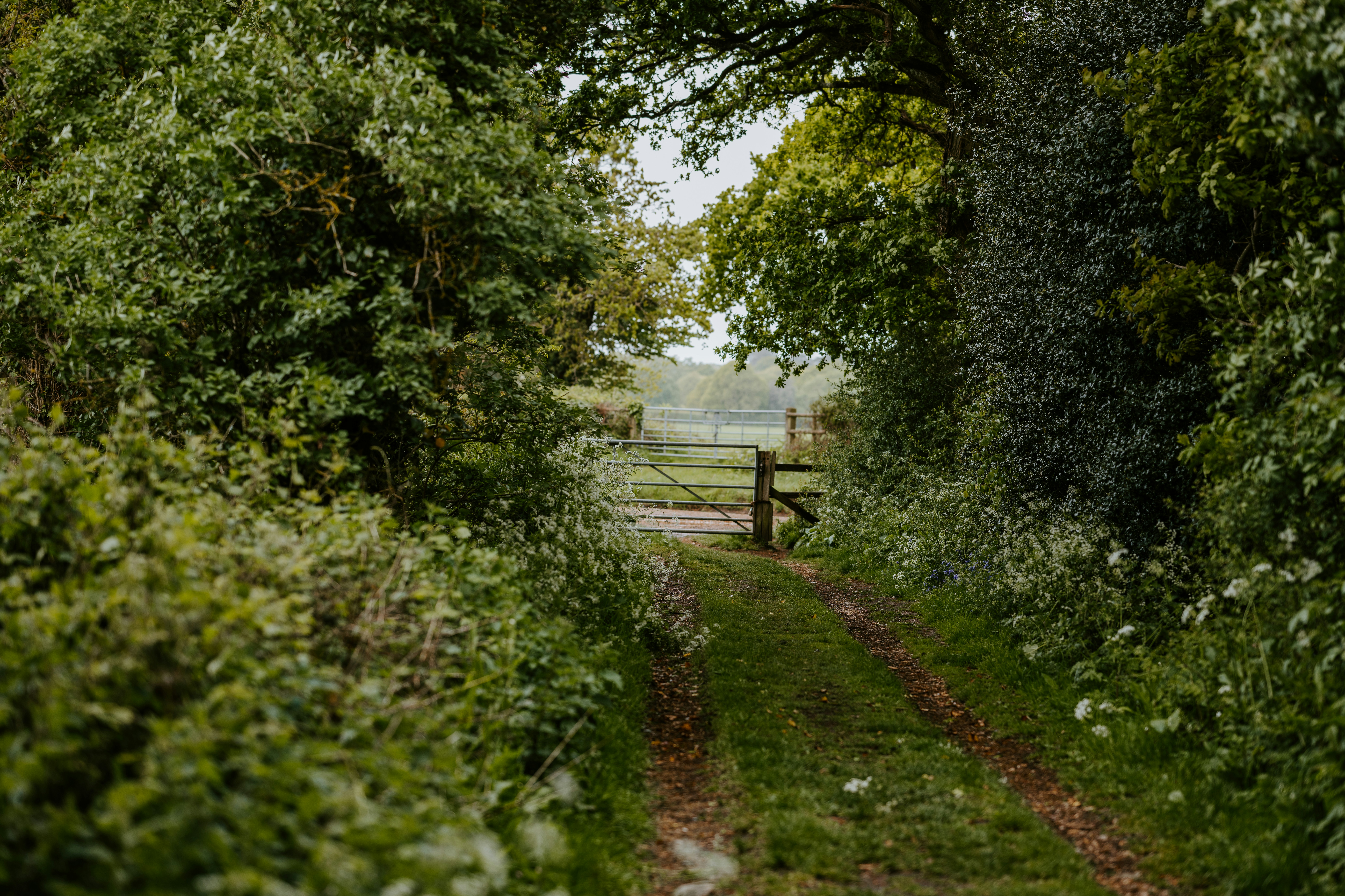 Photo by anniespratt